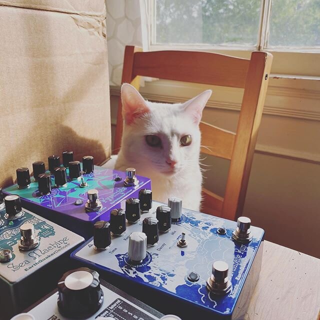 Kitties love space sounds provided by @earthquakerdev !! 🥰🐬💫🪐🌙🌚🌝🌈