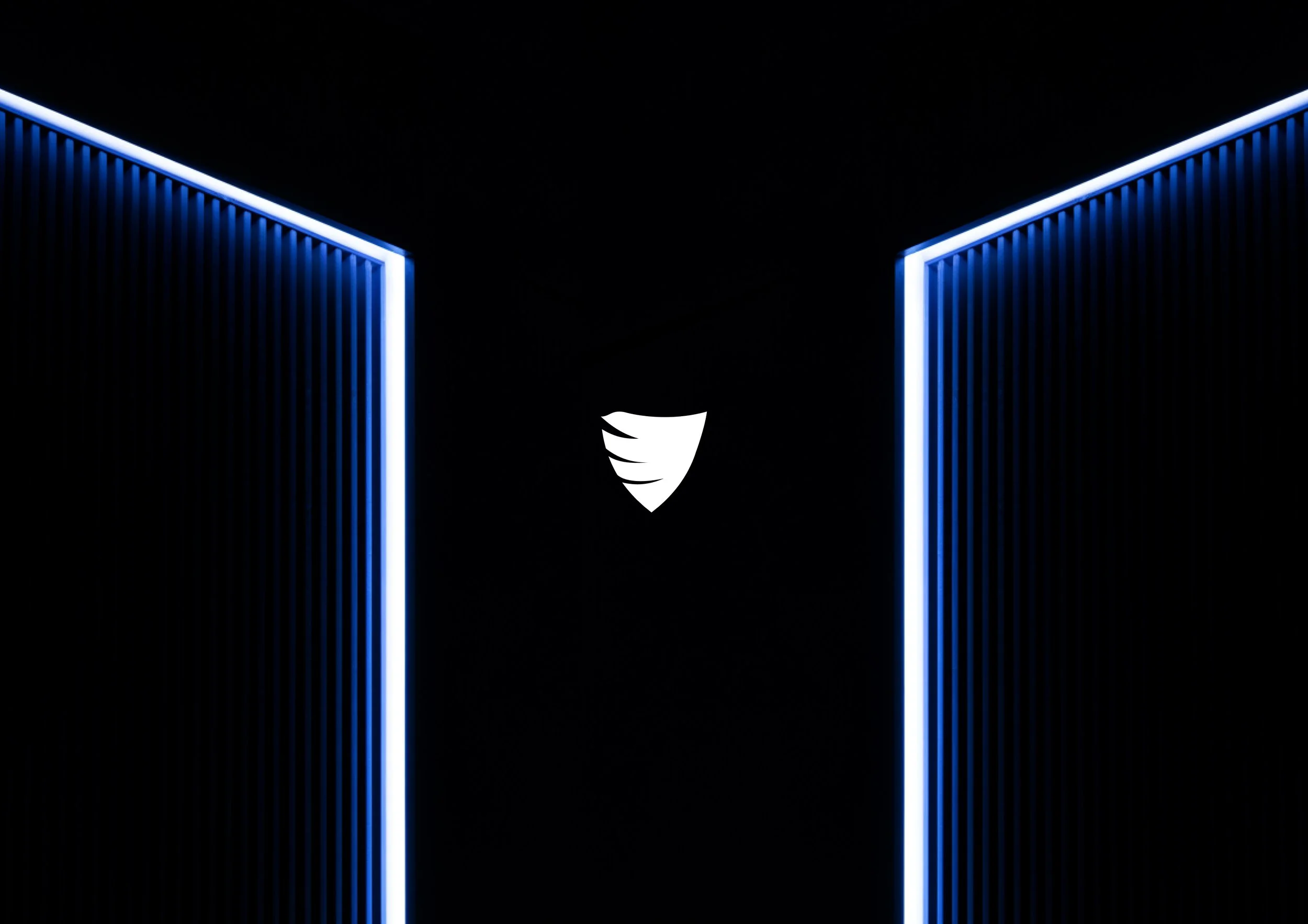 RSB - 1.jpg