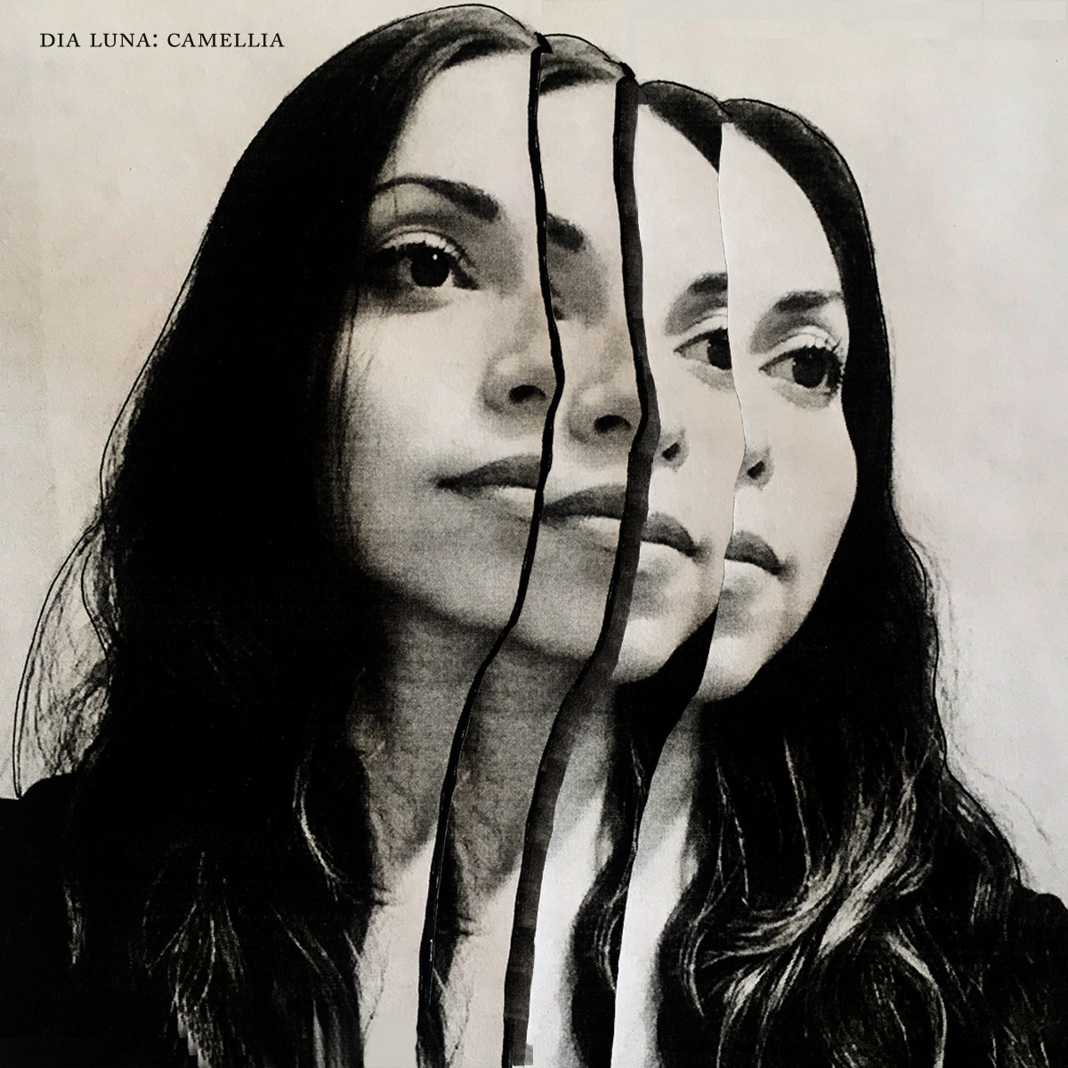 DIA LUNA, Grey McMurray, Out of Sight of Land