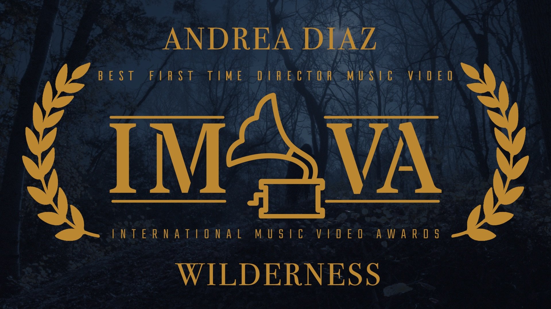 Wilderness WINNER - BEST FIRST TIME DIRECTOR- International Music Video AWARDS - NOVEMBER 2022 copy.jpg