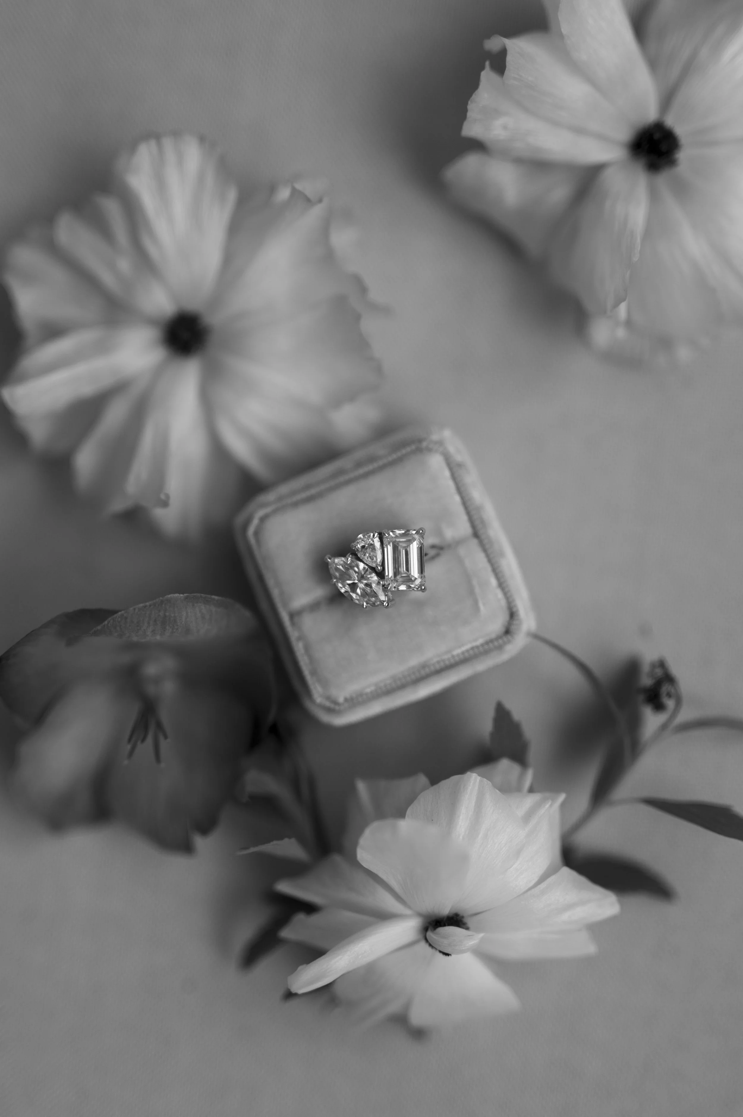 Proposal-Details-WhitneyHeardPhotography-2025-3656.jpg