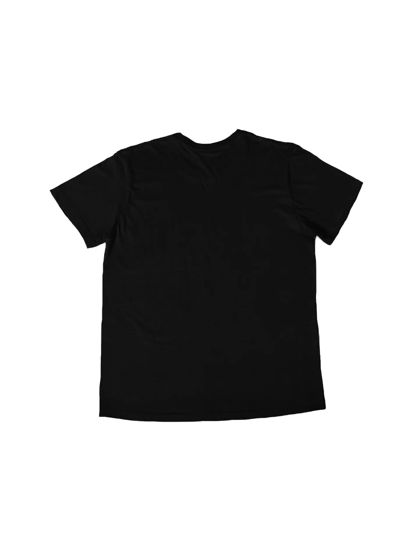 the stoning tee back.jpg