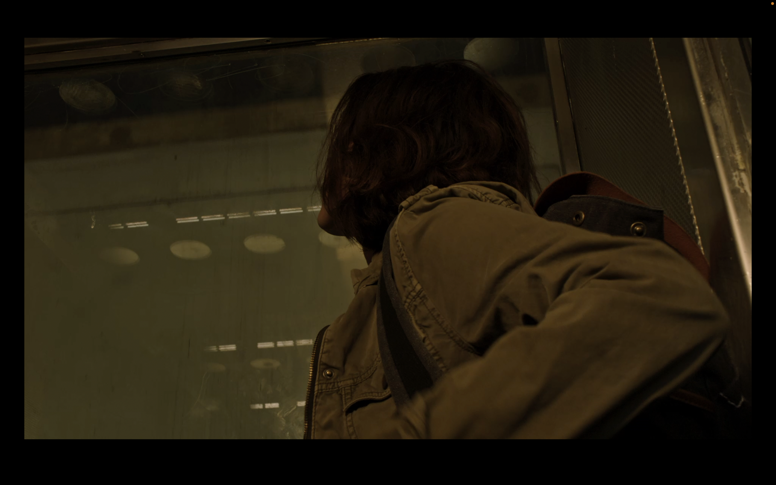 Screen Shot 2023-02-06 at 7.53.05 PM.png