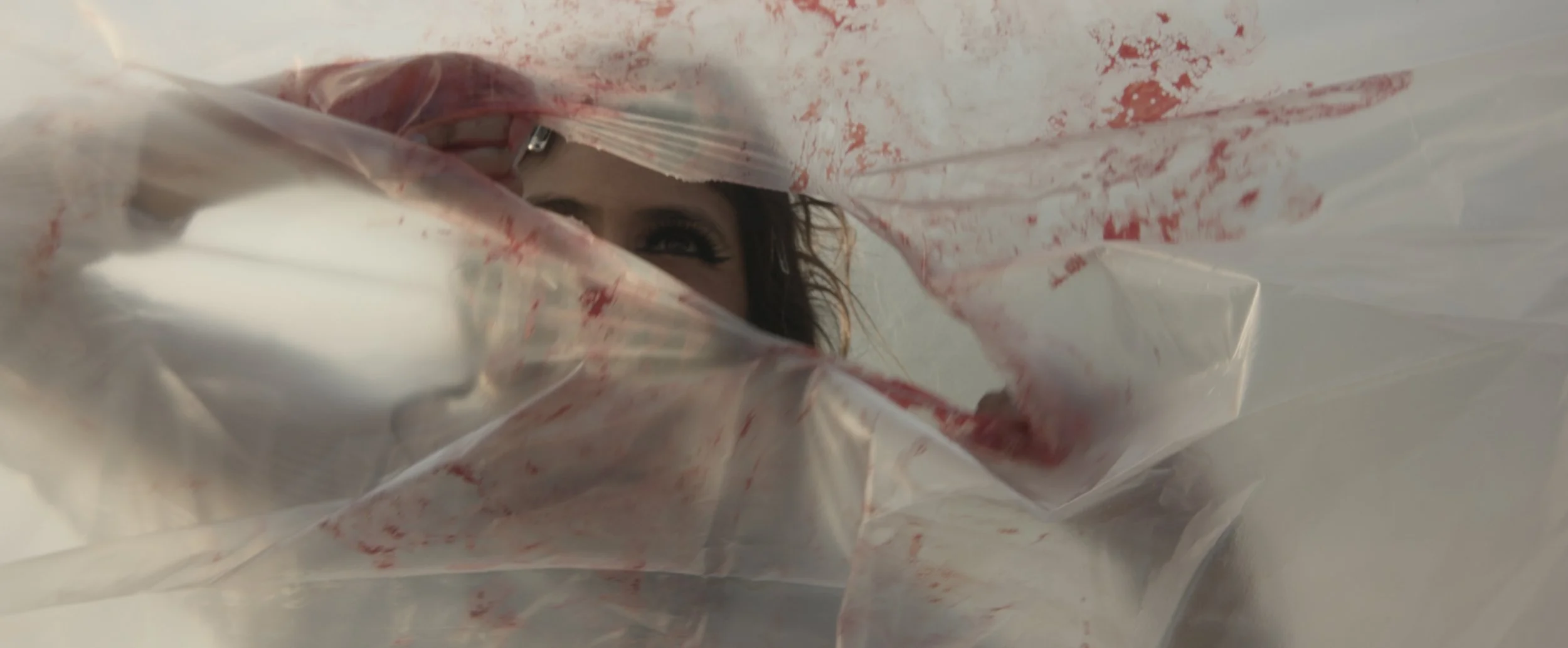 Screenshot 2025-03-10 at 4.40.31 PM.jpg