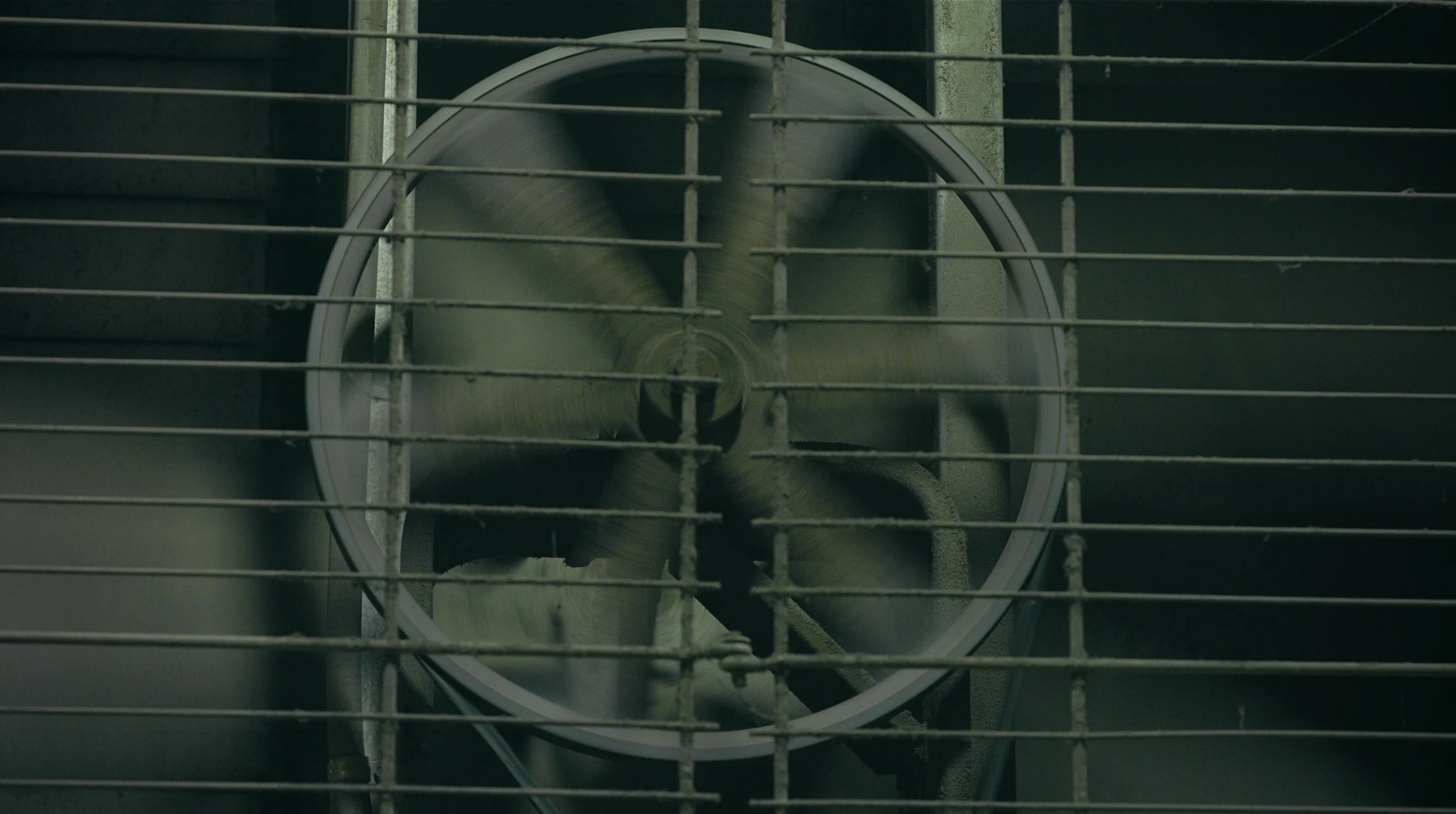 Screenshot 2025-03-10 at 4.14.16 PM 2.jpg