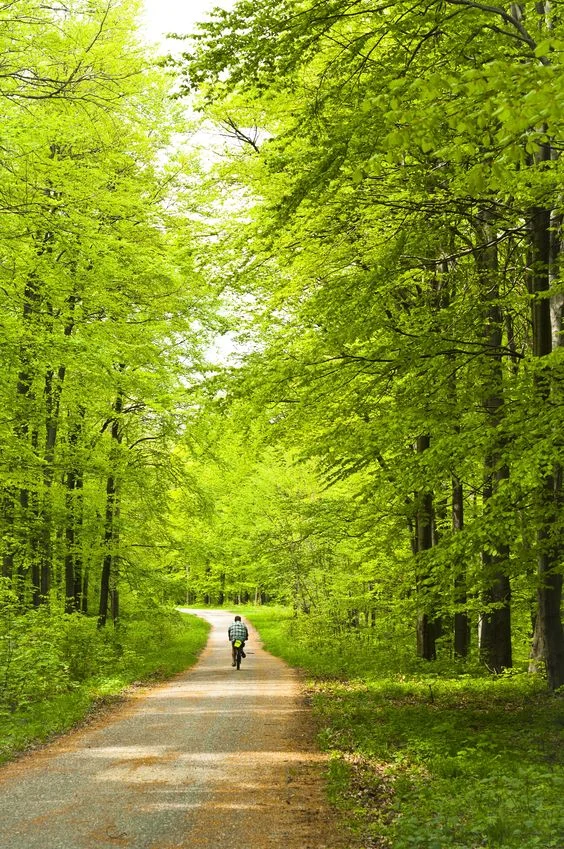Find your own path. Lead yourself. Be happy and stay strong. Stay in the green.