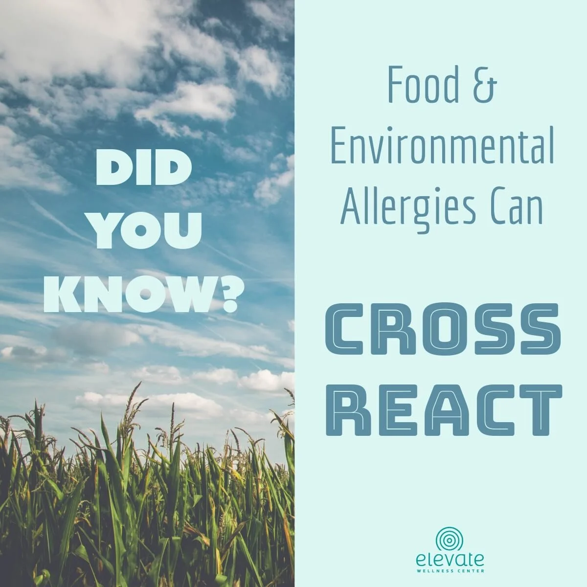Seasonal allergies don&rsquo;t always stop at pollen. 🌿
.
Some people may also react to certain foods due to &ldquo;cross-reactivity&rdquo; between environmental allergens and proteins found in foods. 🤧
.
Learning these connections can sometimes he