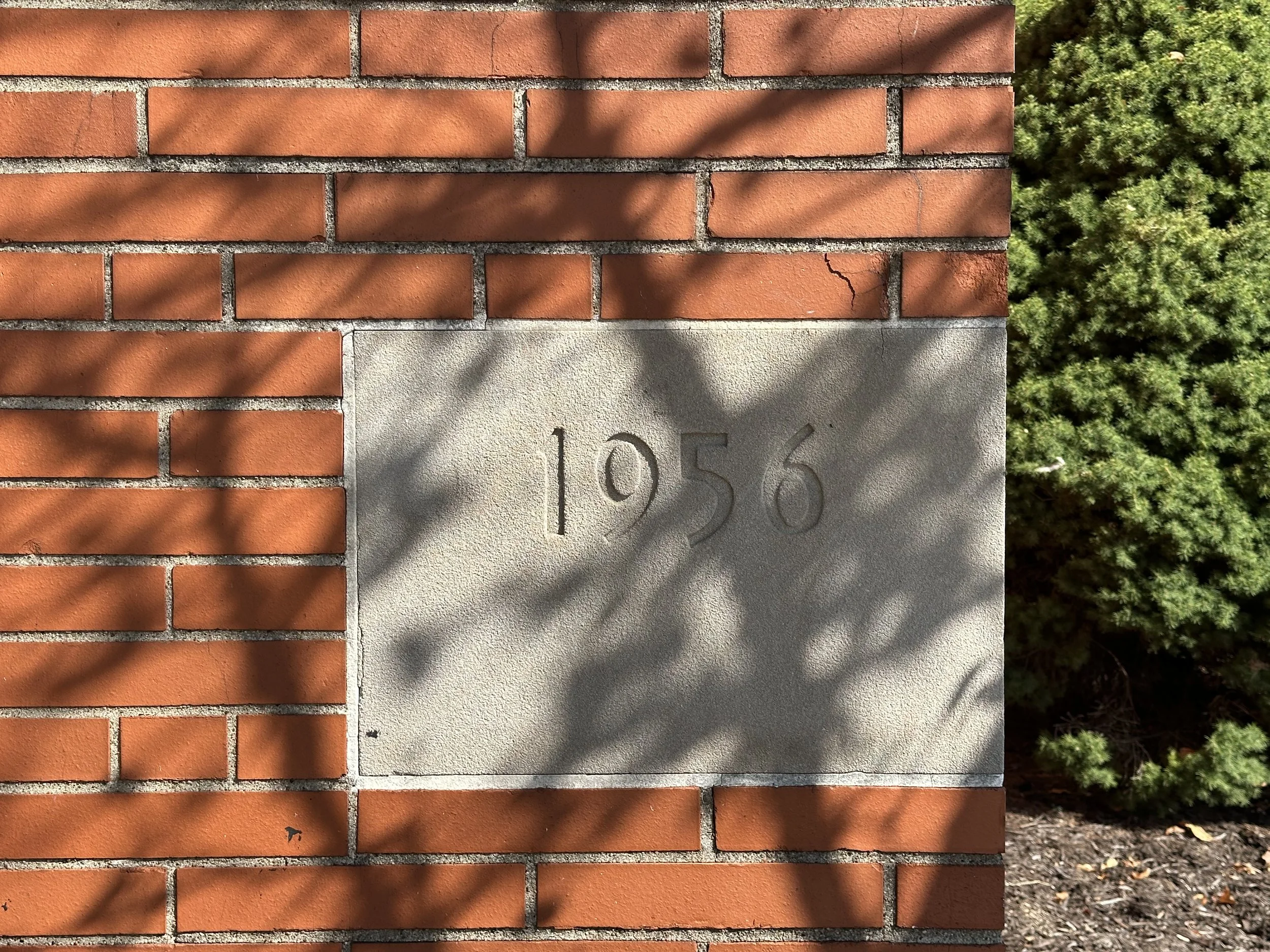 IMG_6061.jpeg