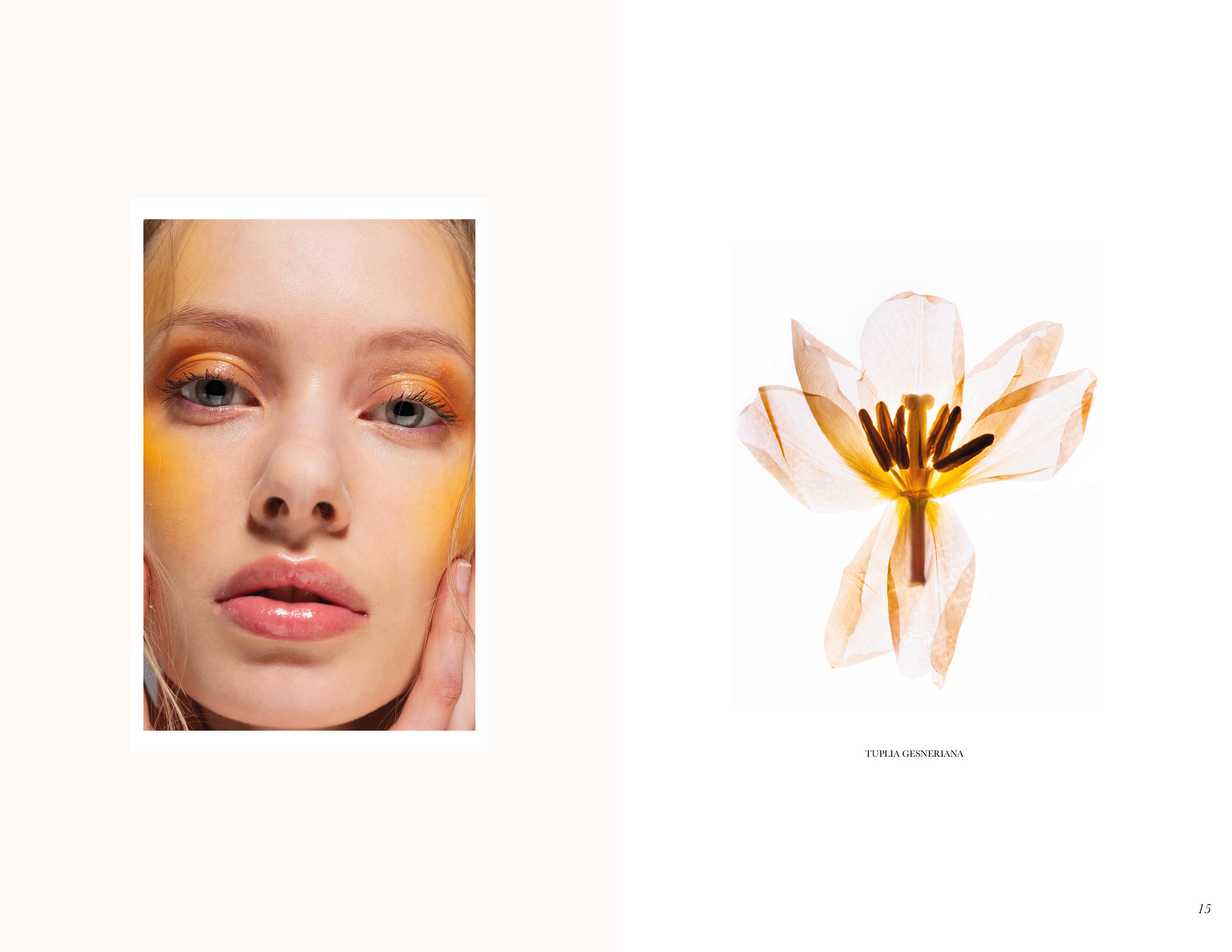 LayoutFloral2.jpg