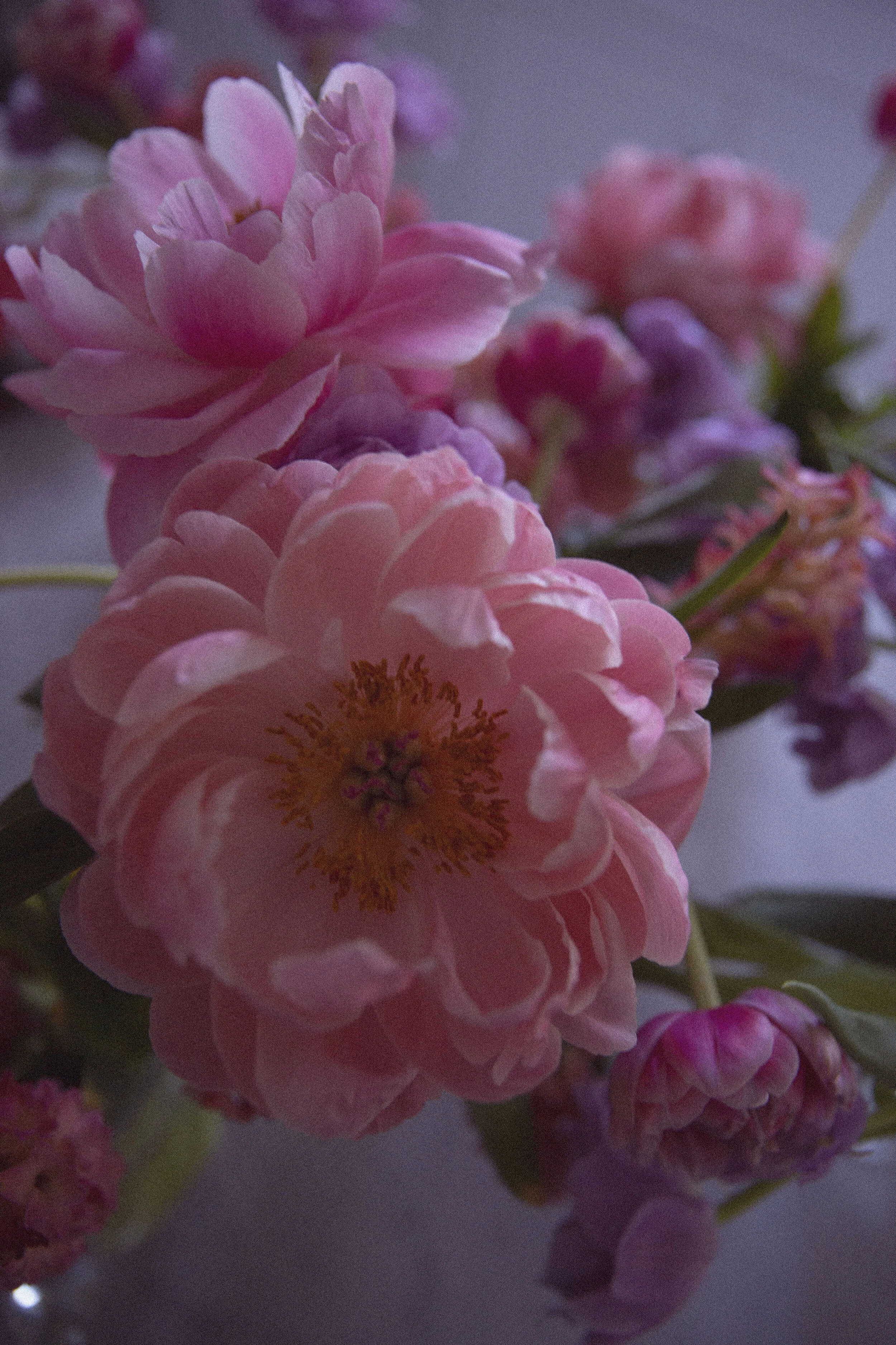 flower13.jpg
