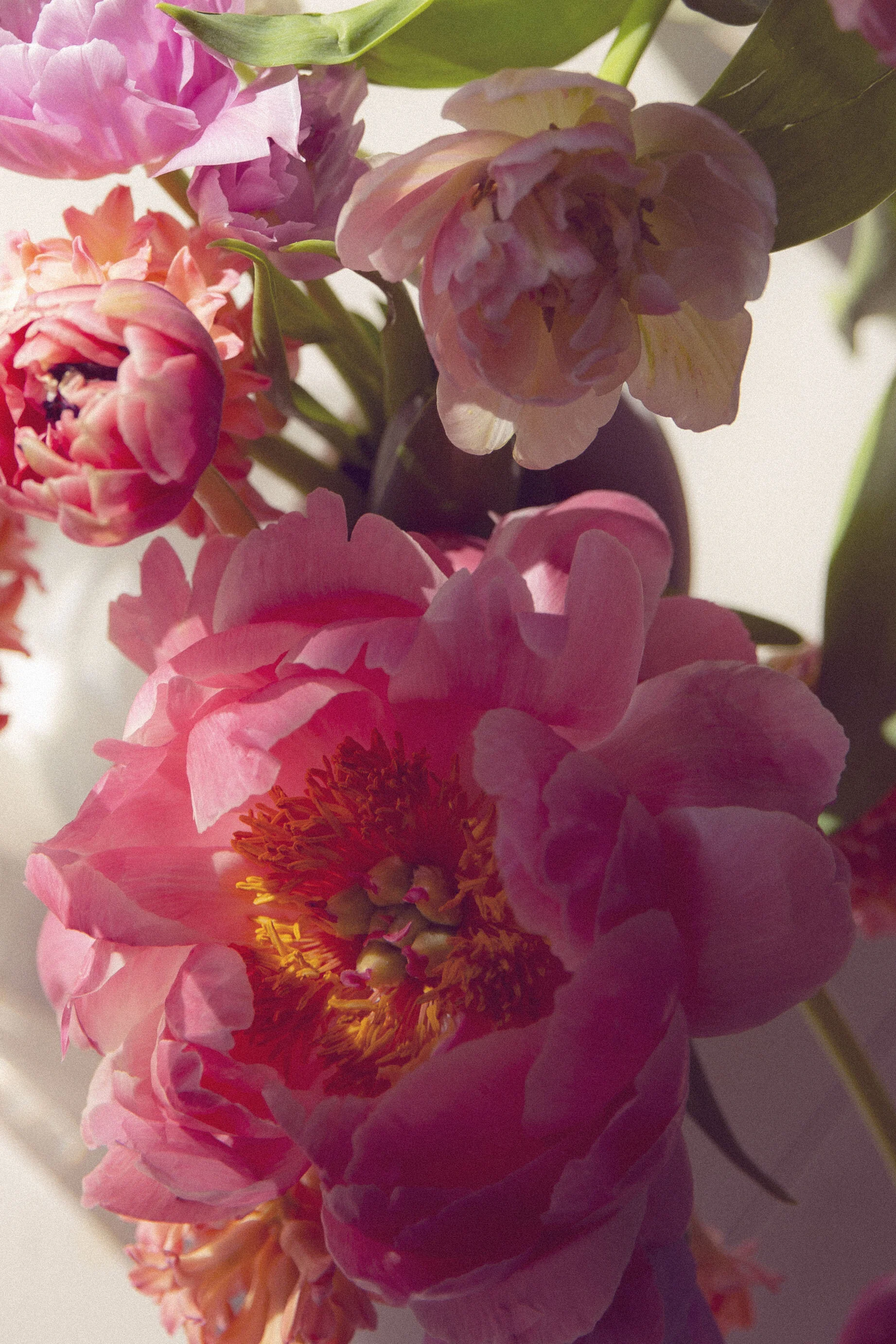 flower09.jpg