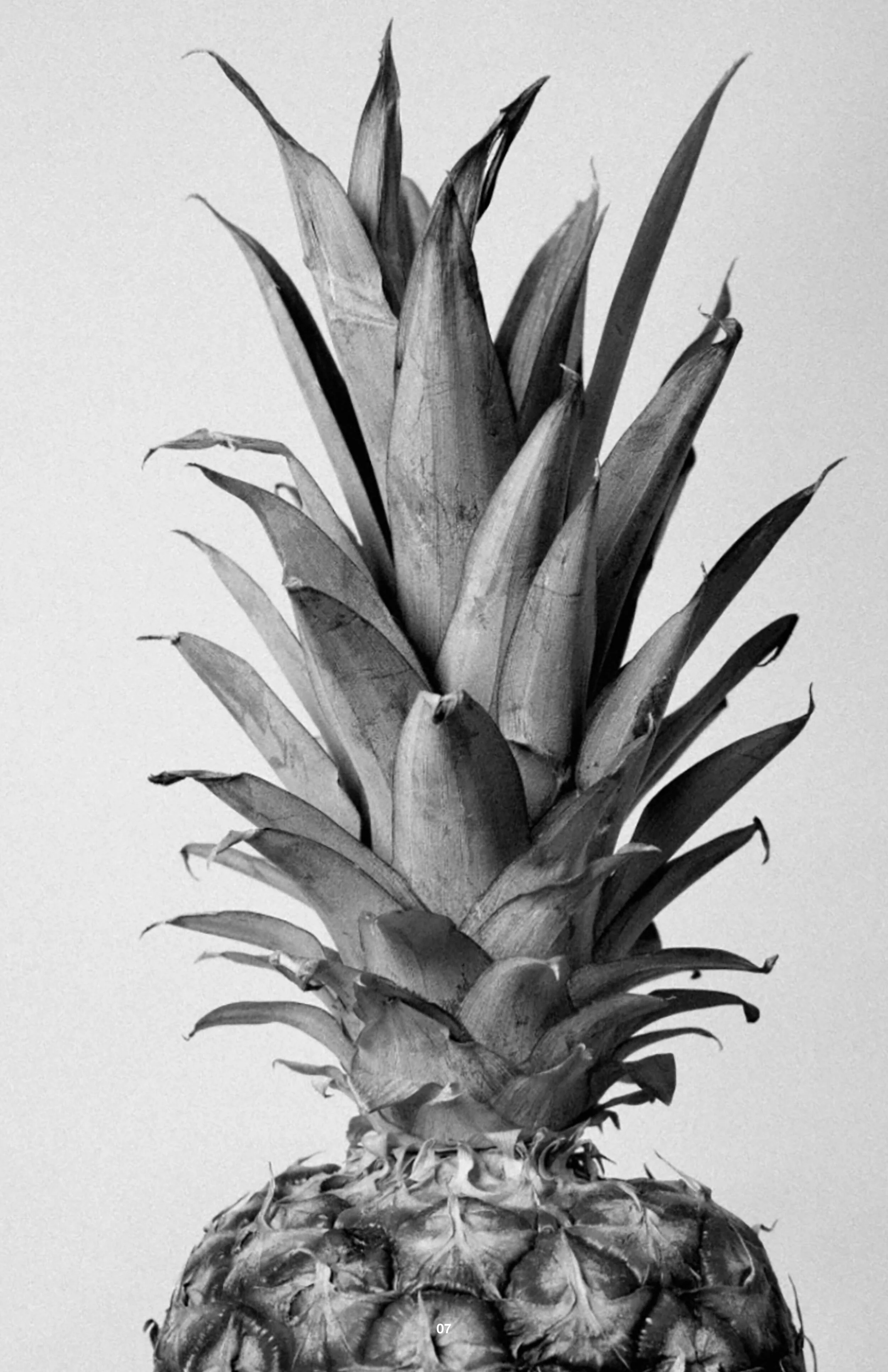 Zine_WIP38.jpg