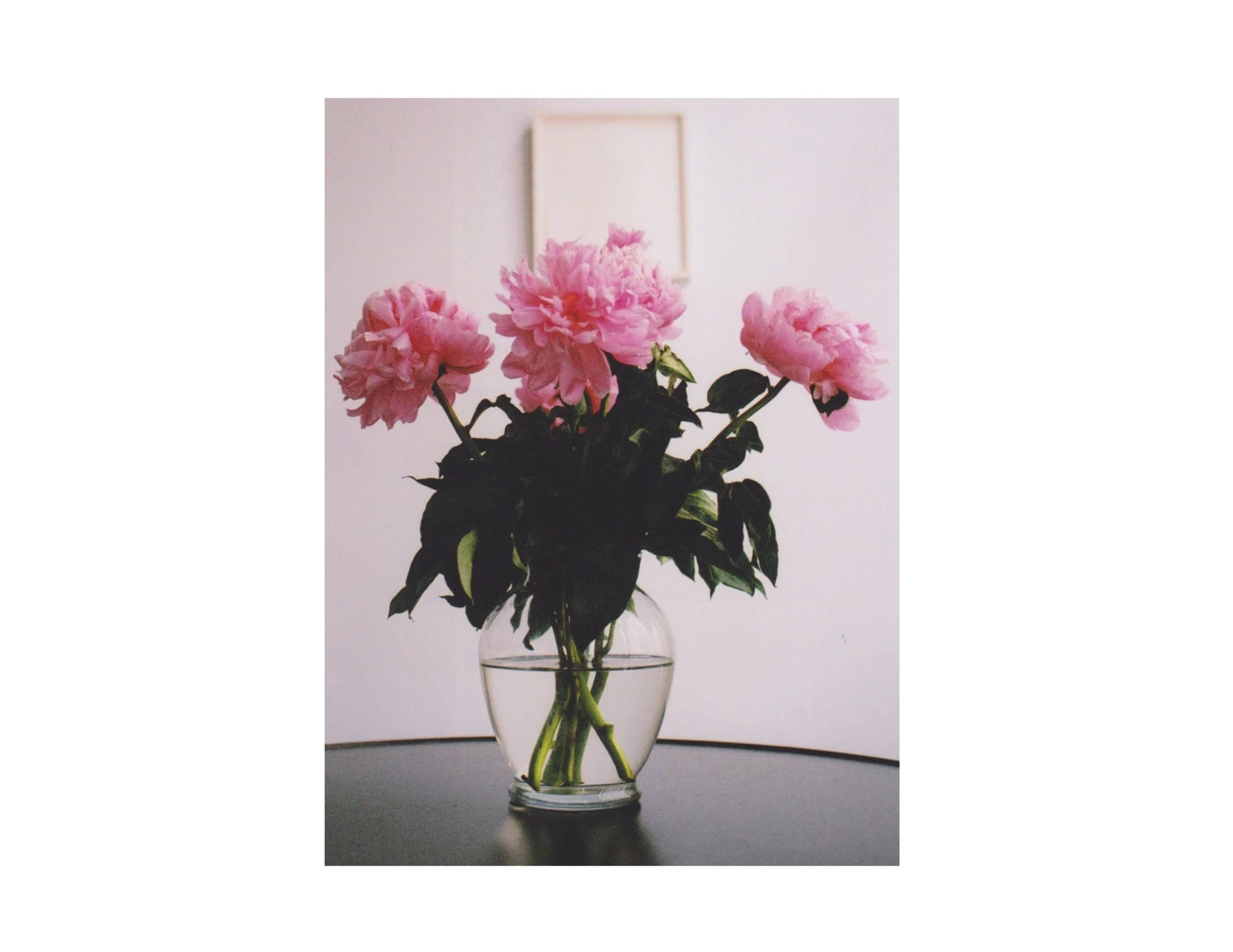 Untitled-16.jpg