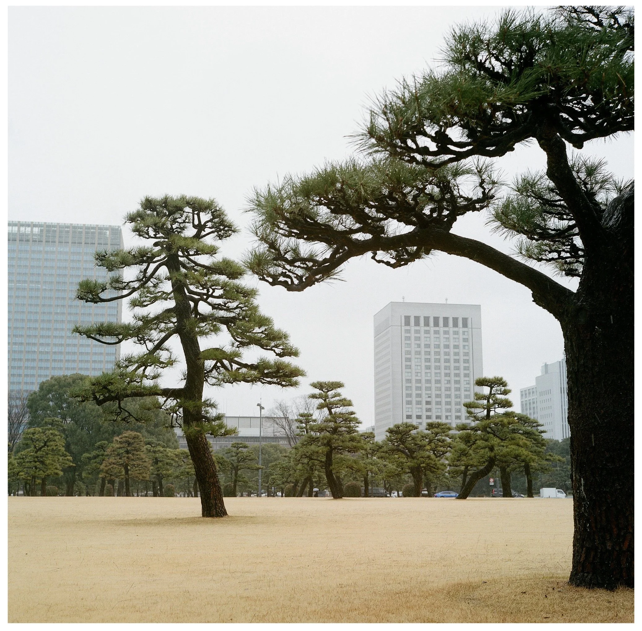 6_japan.jpg