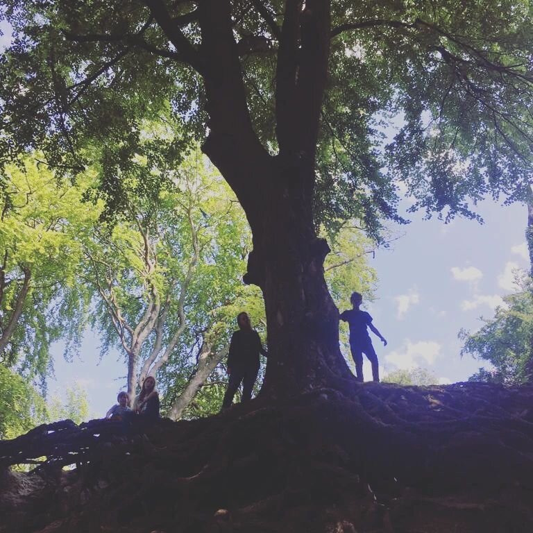 If I'm not working or at home I'm probably in the woods 🌳

#halfterm #family #southdowns #lovetrees #woodland #joy #amongsttgetrees