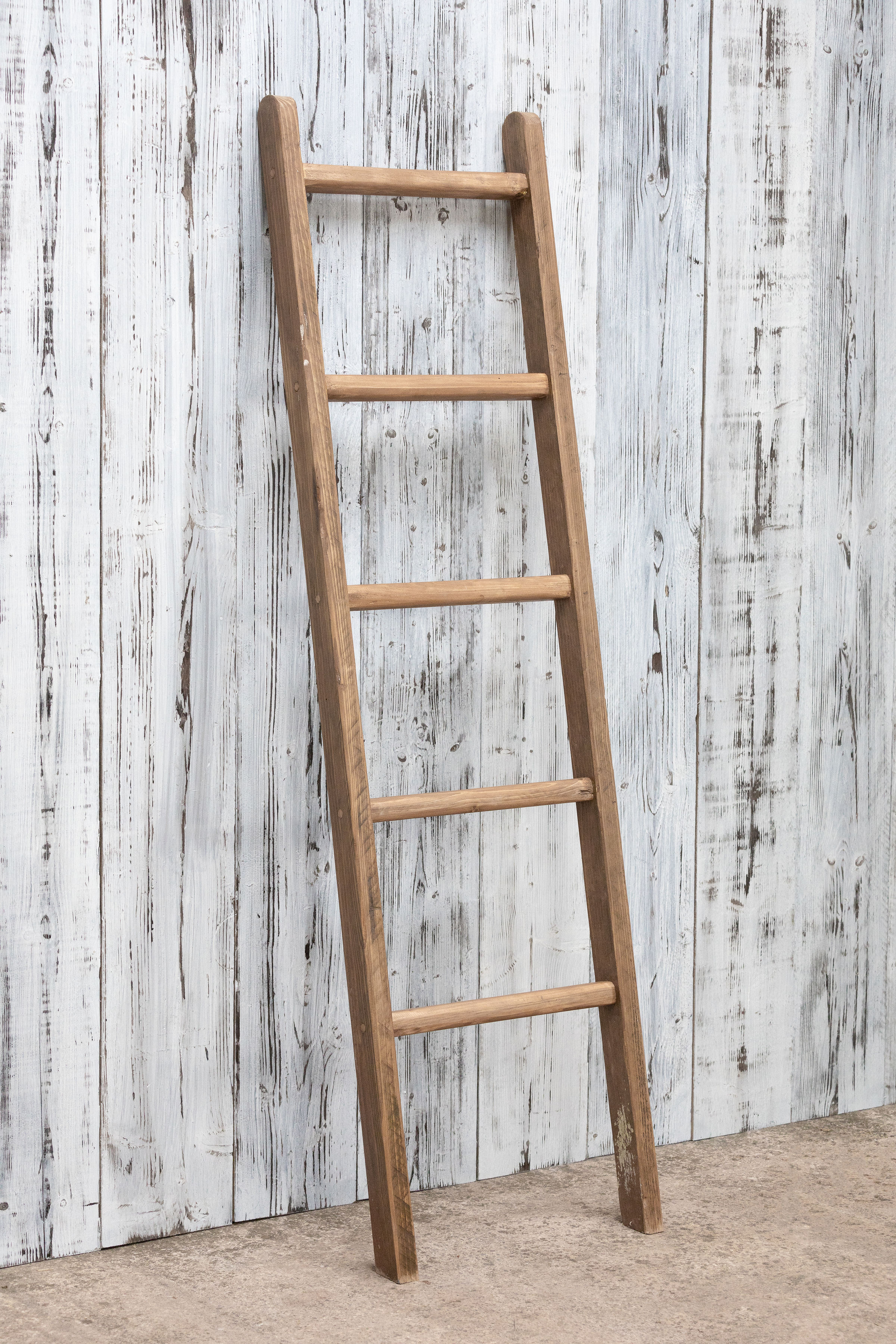 WallLadderWide(4).jpg