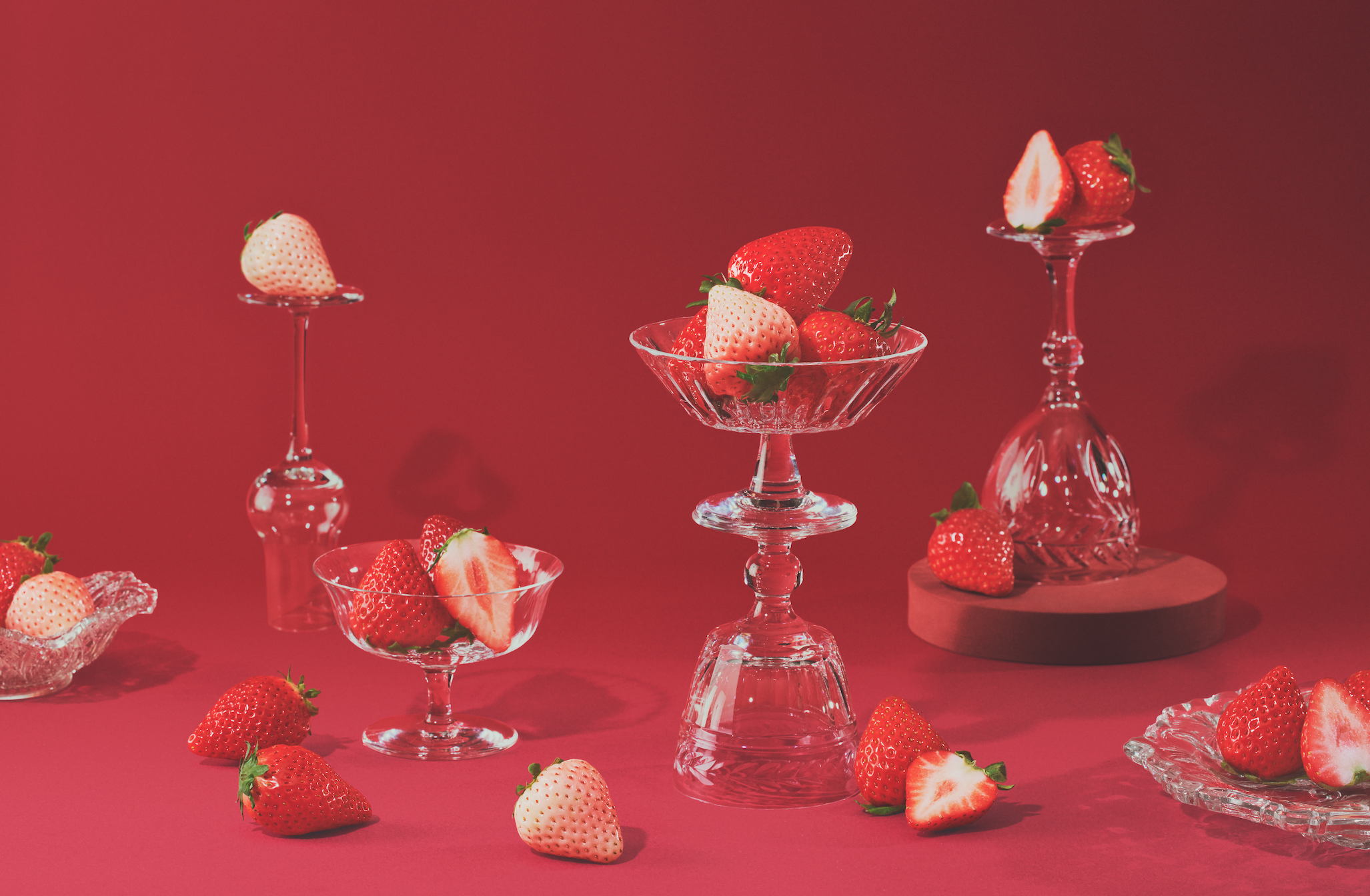 スクリーンショット 2026-02-28 17.25.59.png