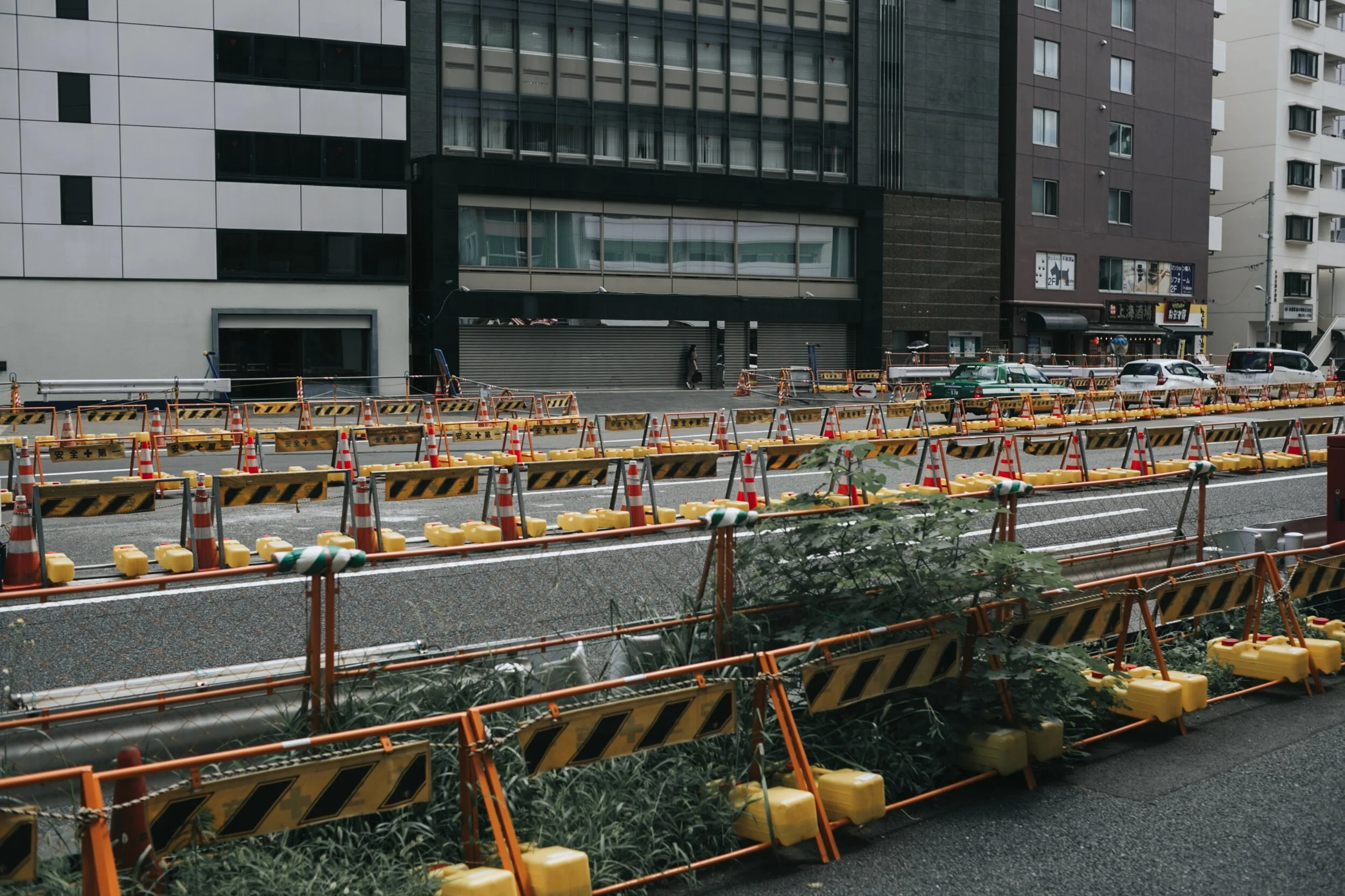 tokyo sept 2019-8.jpg