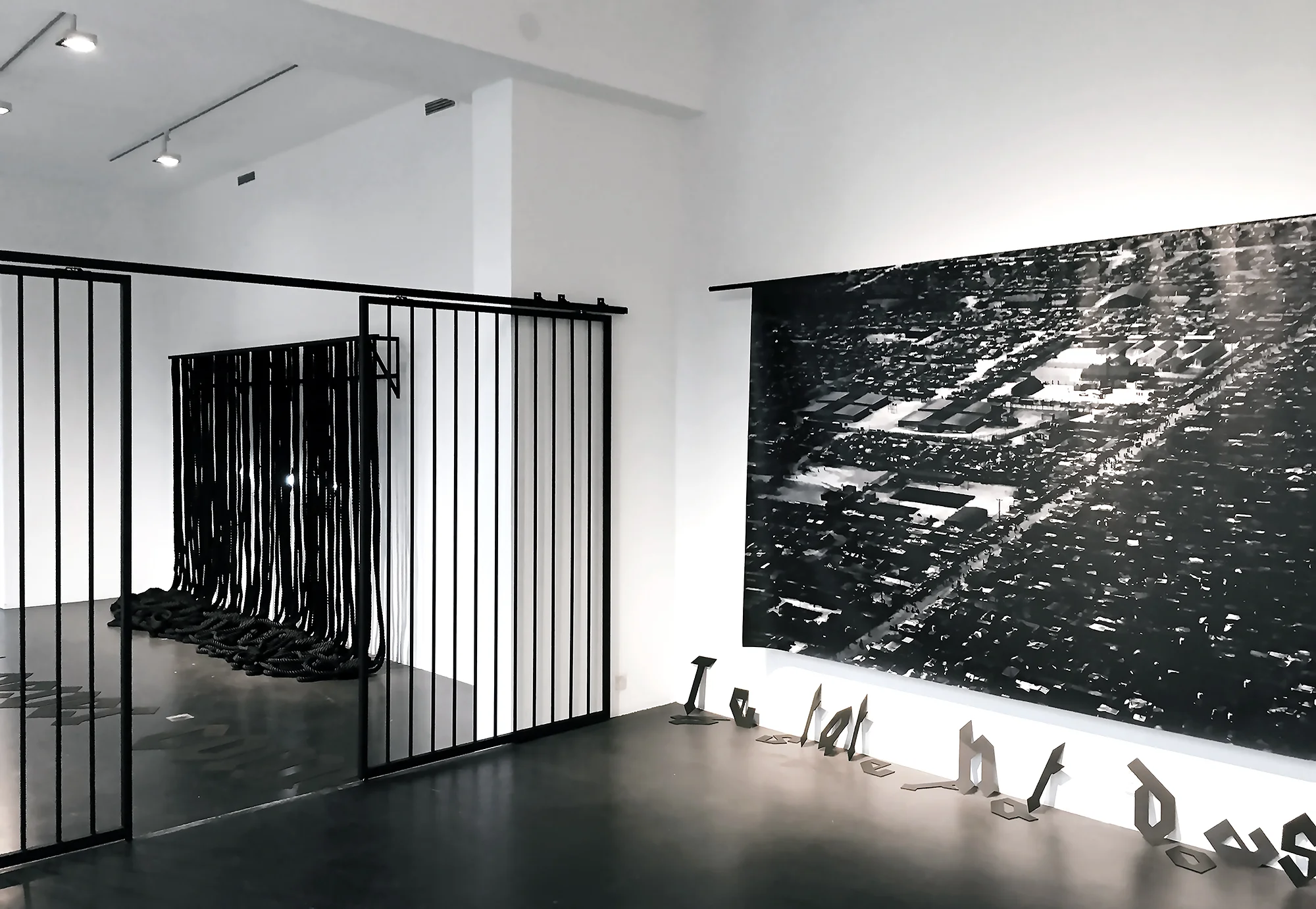   Installation view  