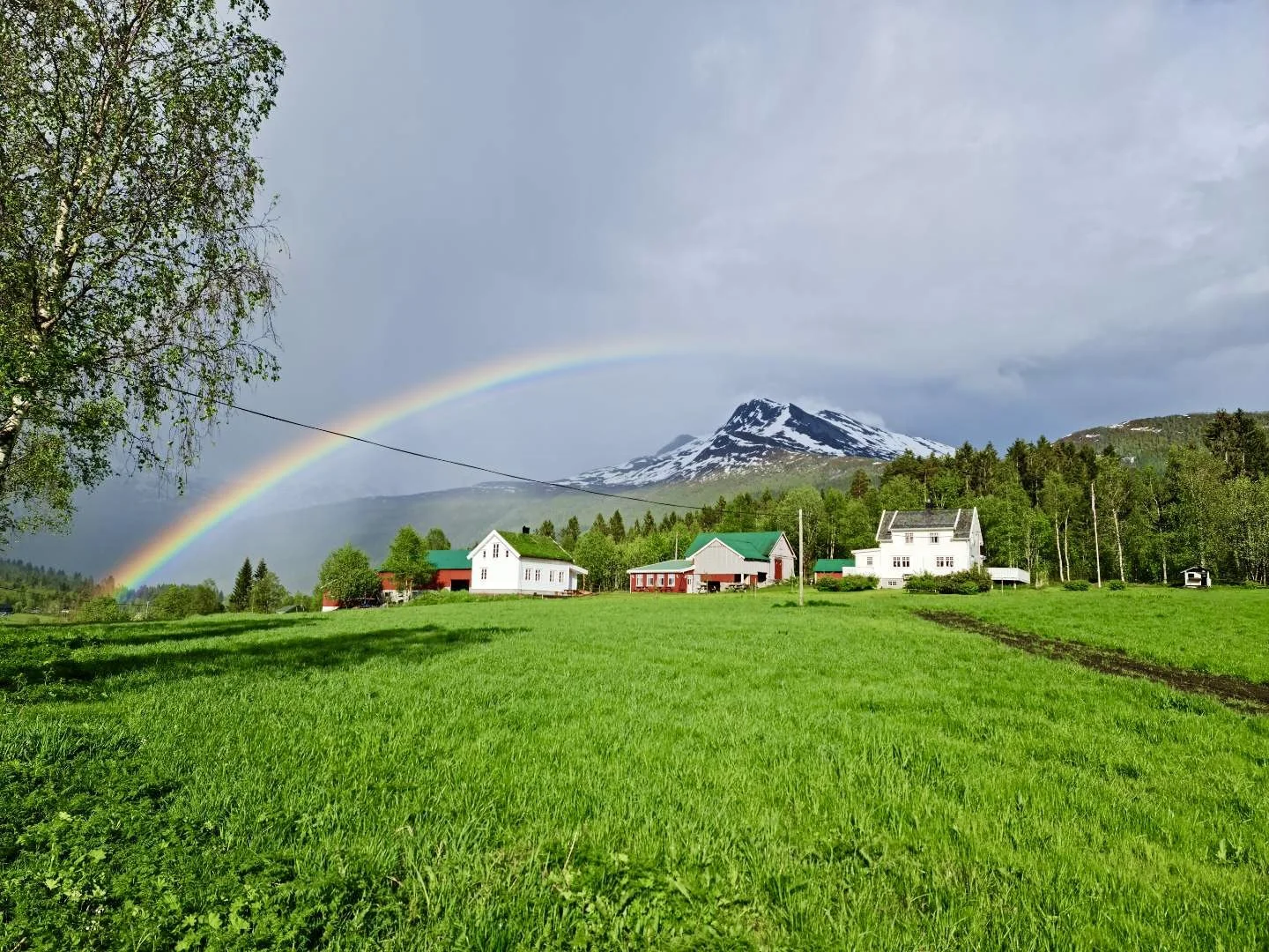 Barn celebrations of June 2022