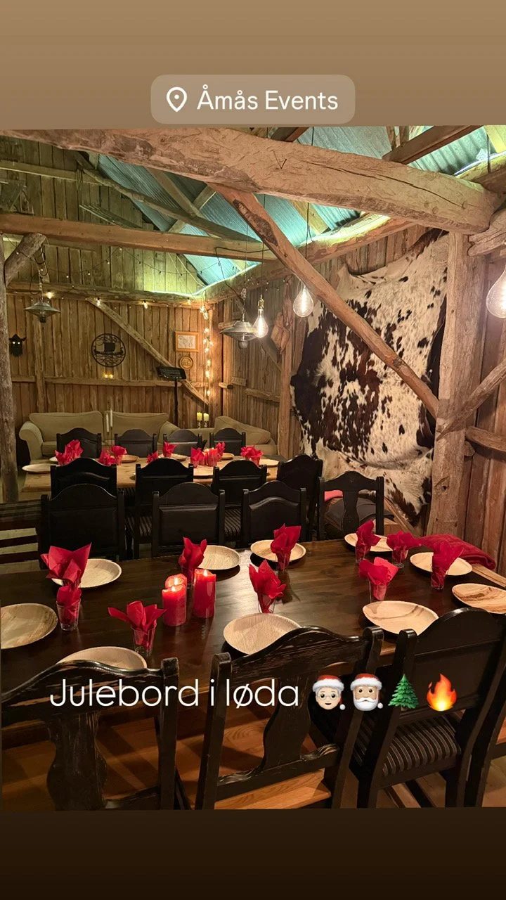 Christmas party in the Åmås barn December 2025! 