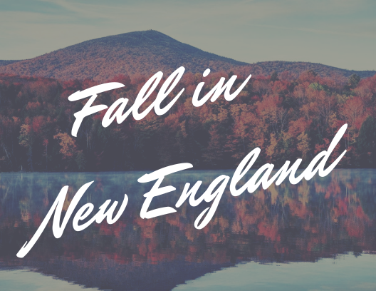 Fall in New England.png