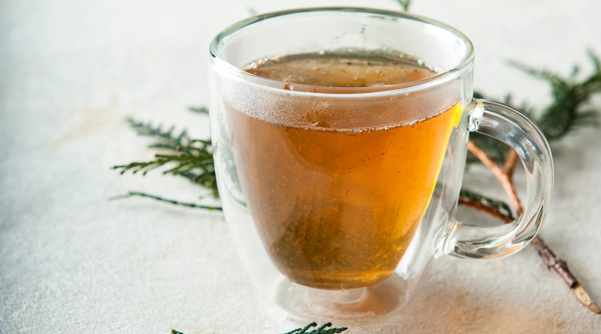 cedar-tea_by_Mette-Nielsen-LEDE.jpg