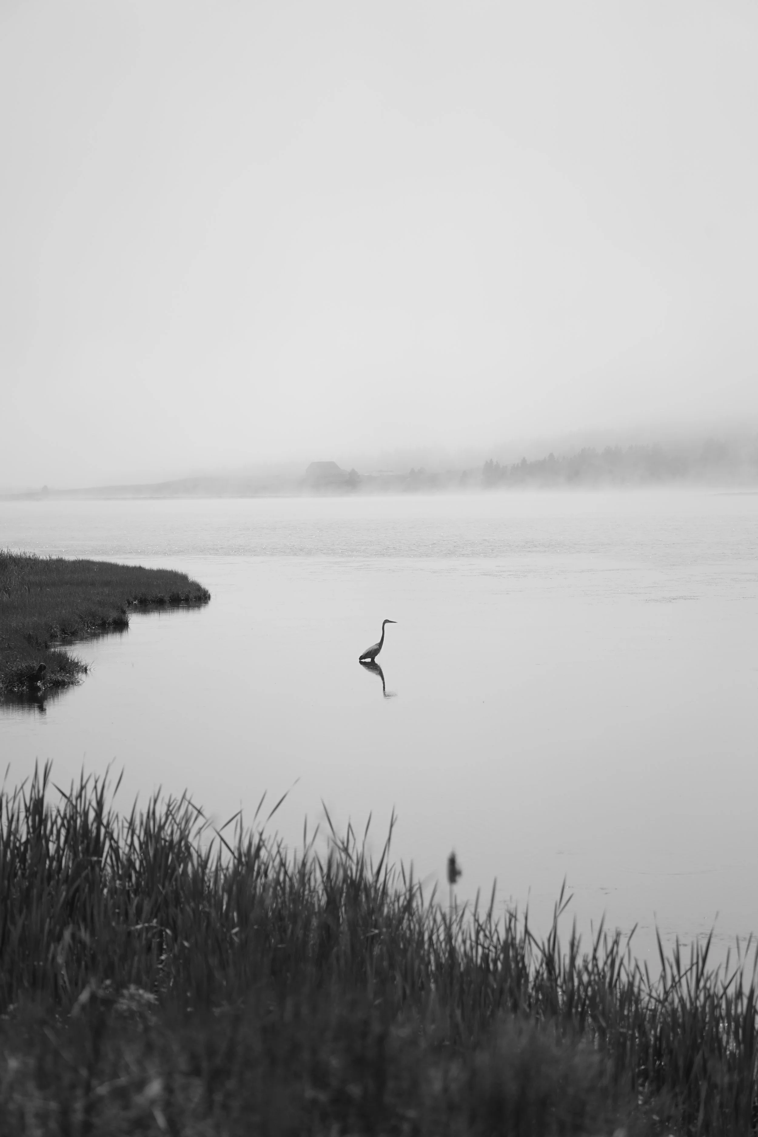 Lawrencetown