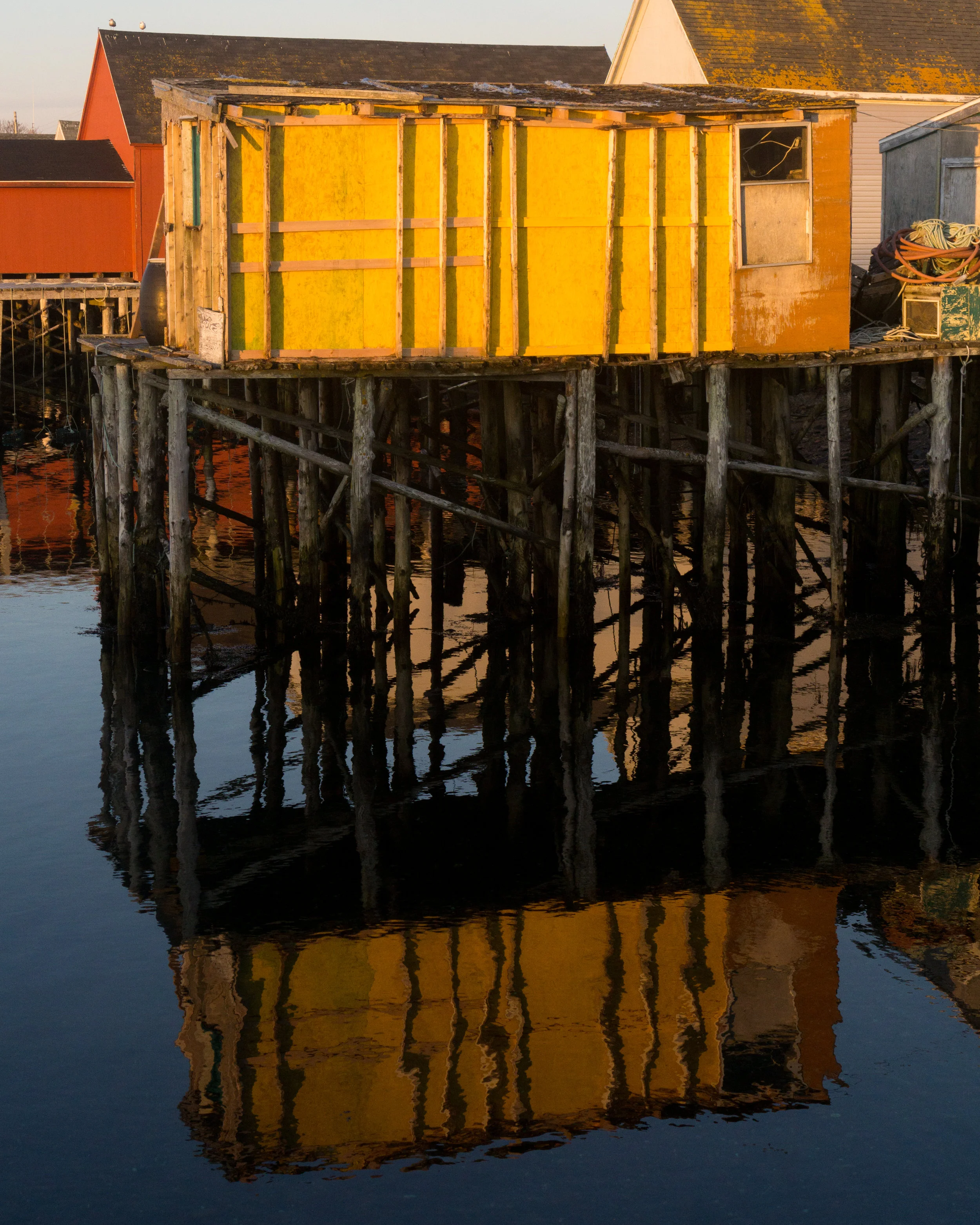Brier Island