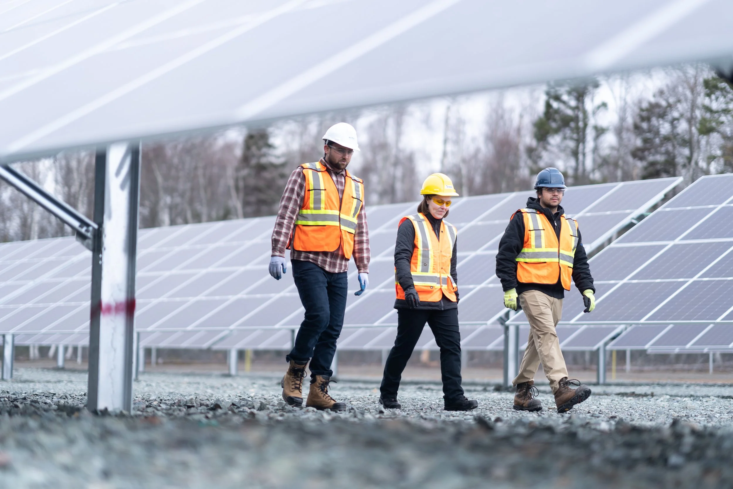 NS Power - Solar Garden (16 of 32).jpg