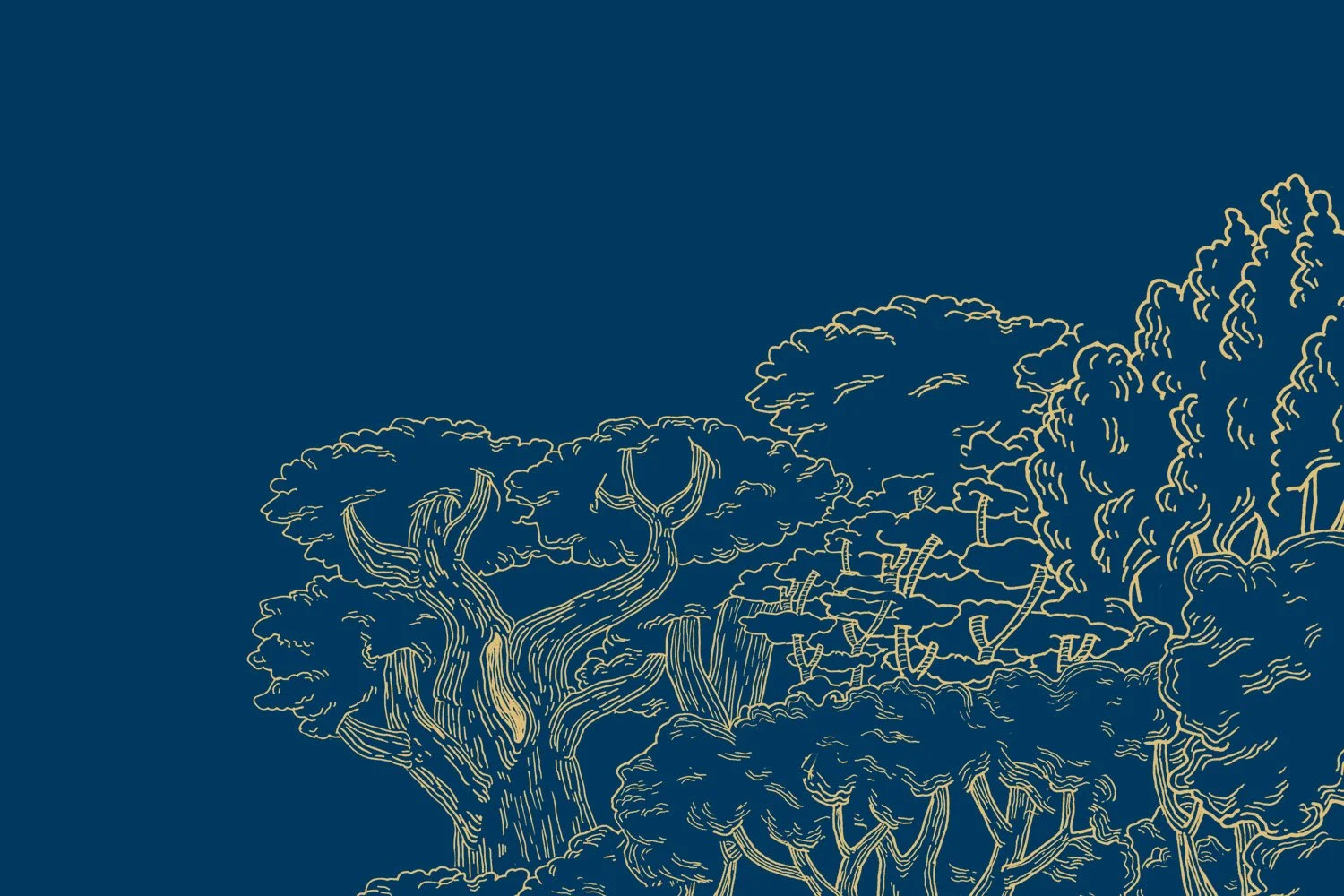 Banner copy.jpg