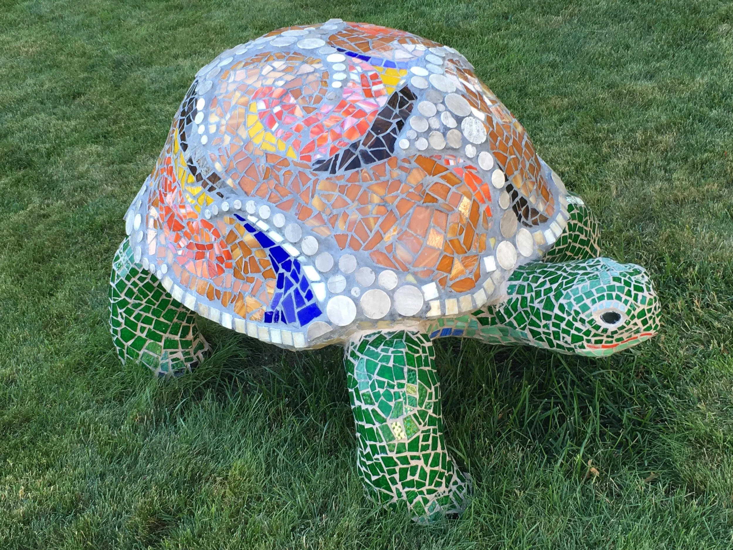 William C. Brown, Tortoise