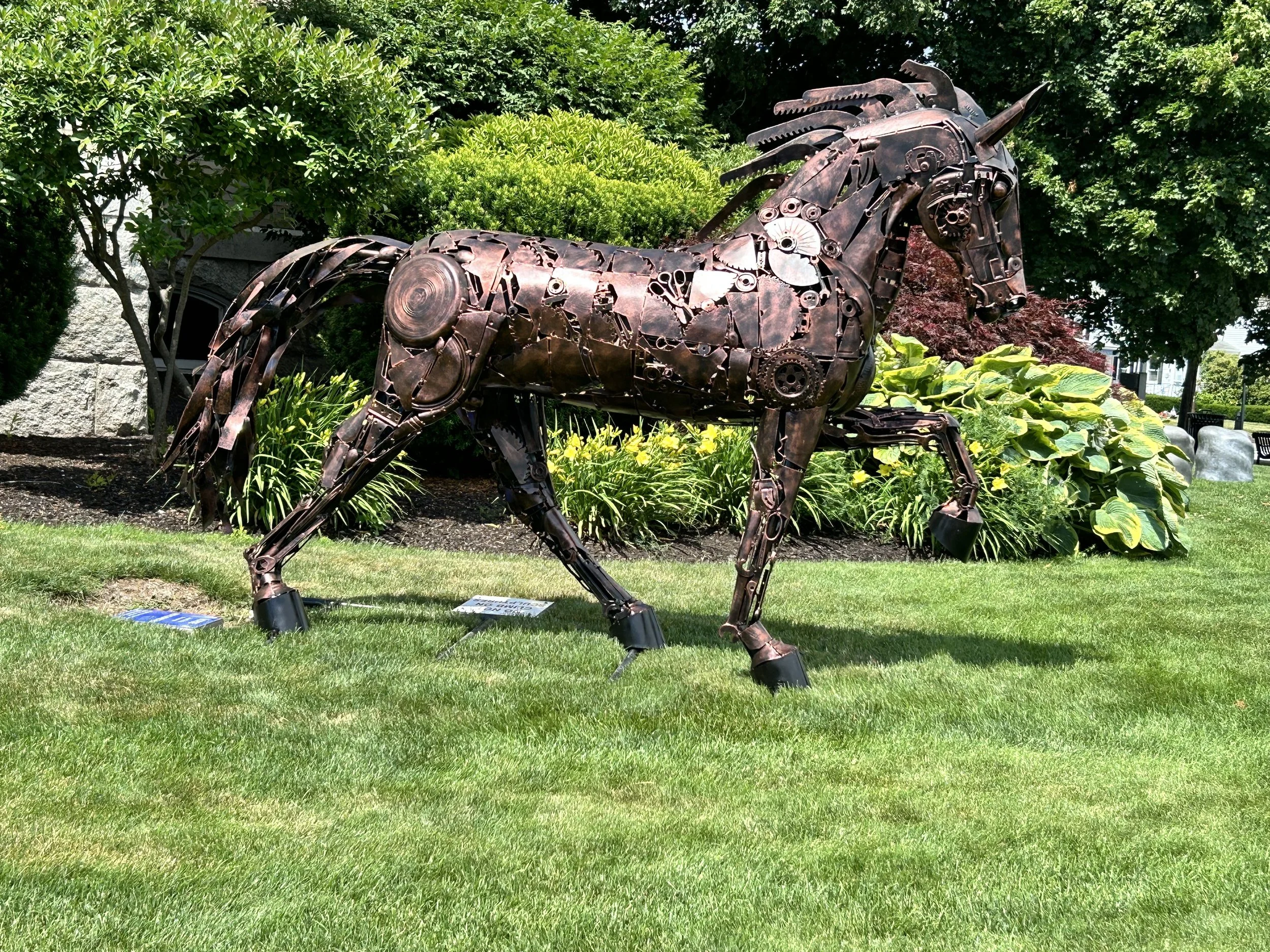 Horse, Jose Criollo