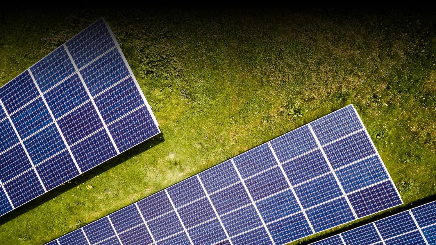springche_solar-panels_renewable-energy_clean-energy.jpg