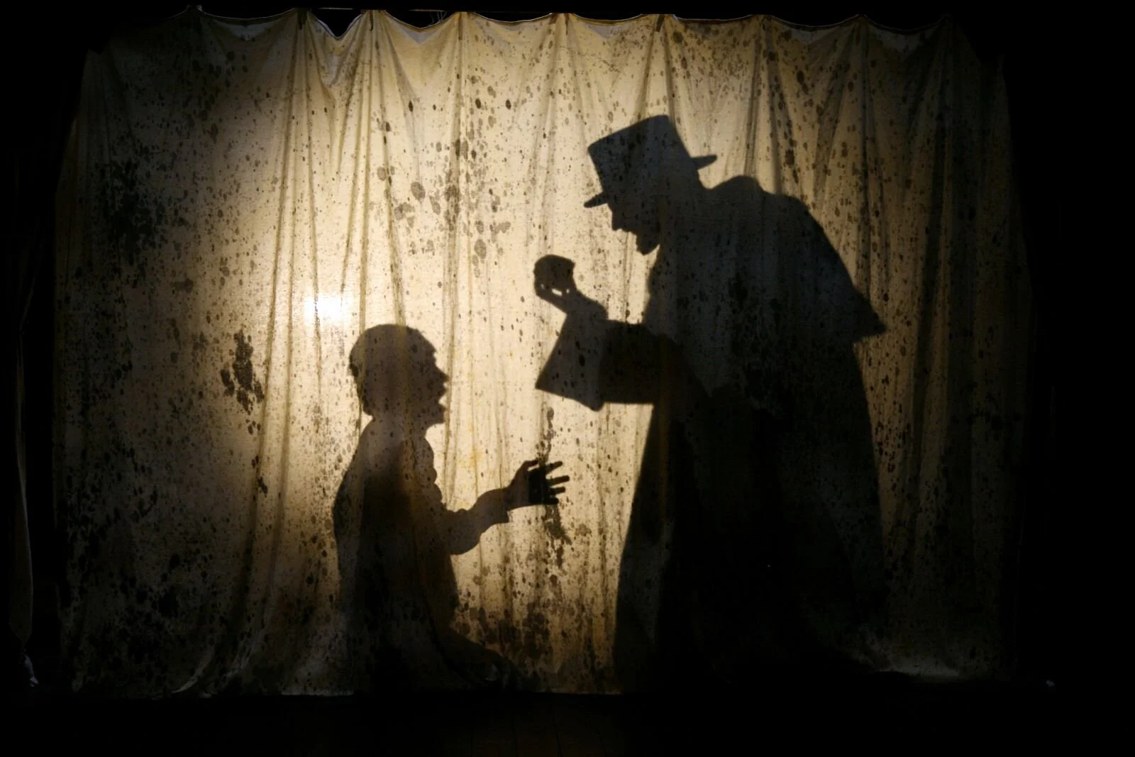 photography by Phillip Tull 