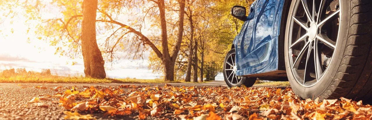 The Fall You’ll Never Forget - Auto Loan Promo