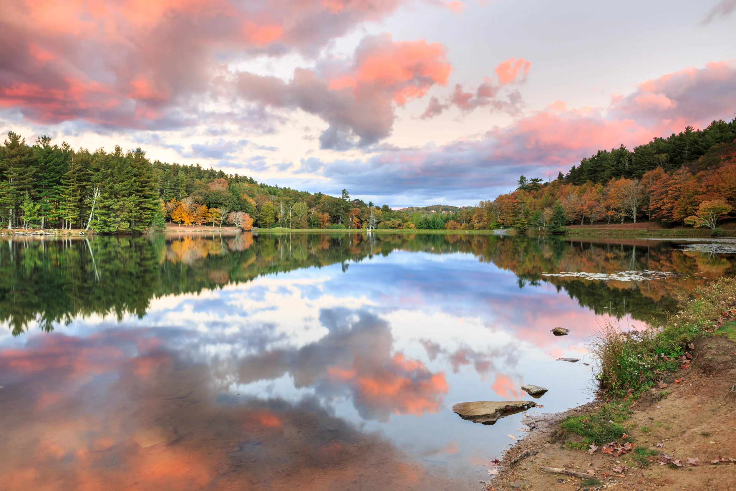 shutterstock_330556490.jpg