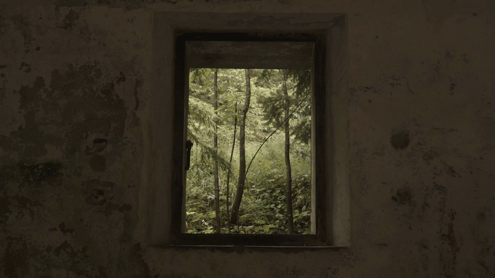 Screen Shot 2019-01-15 at 10.20.47 AM.png