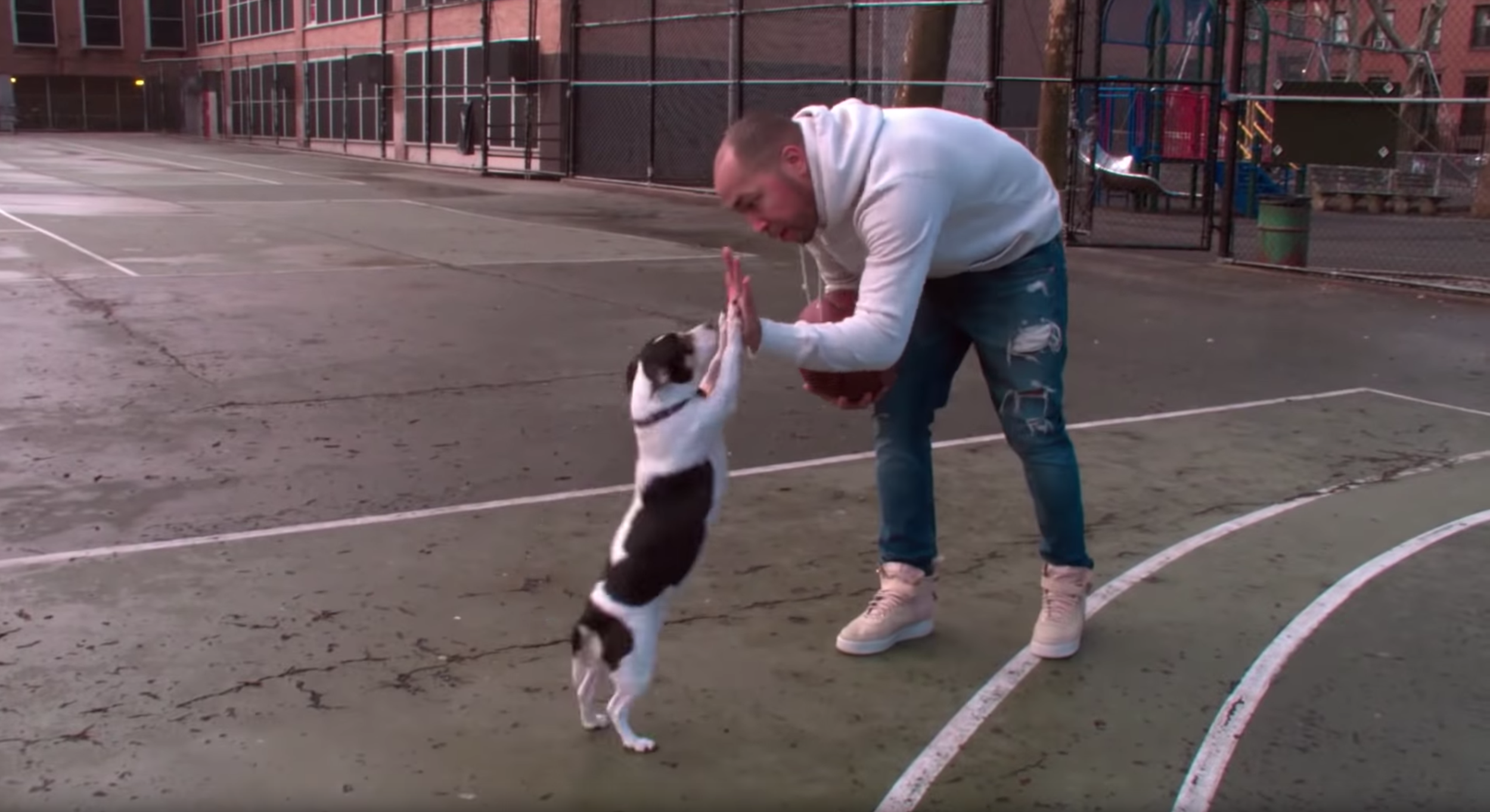 Screen Shot 2019-03-01 at 9.22.25 AM.png