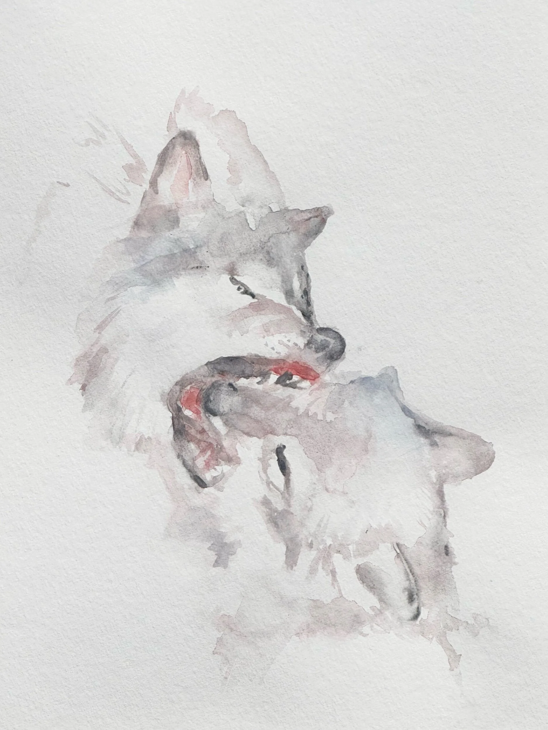 61F44489-AB0B-406D-8A10-F19F5A00B1EA