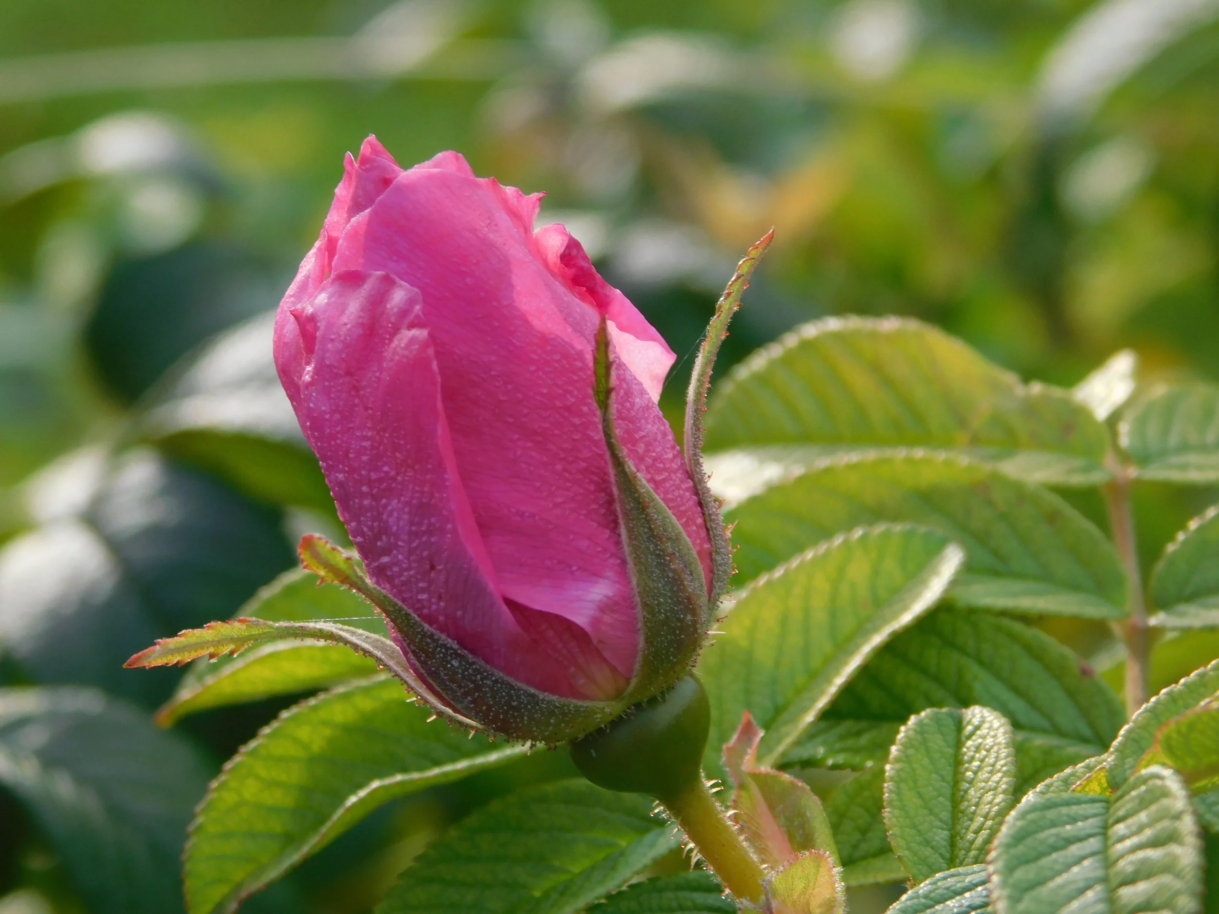 DSCN3273.JPG