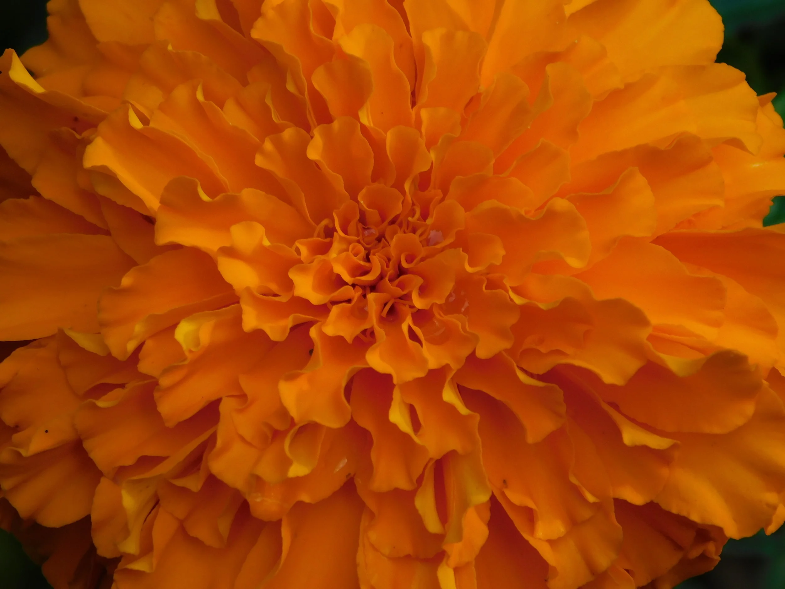 DSCN2395.JPG