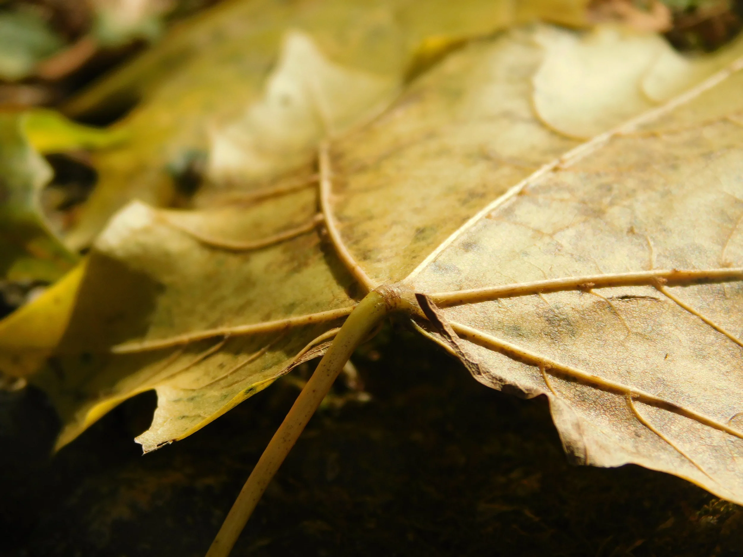 DSCN3248.JPG