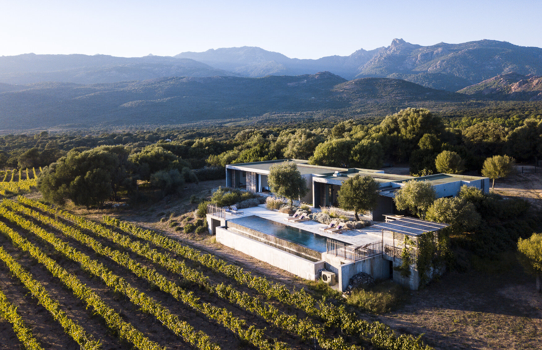 Corsica vineyard01.jpg