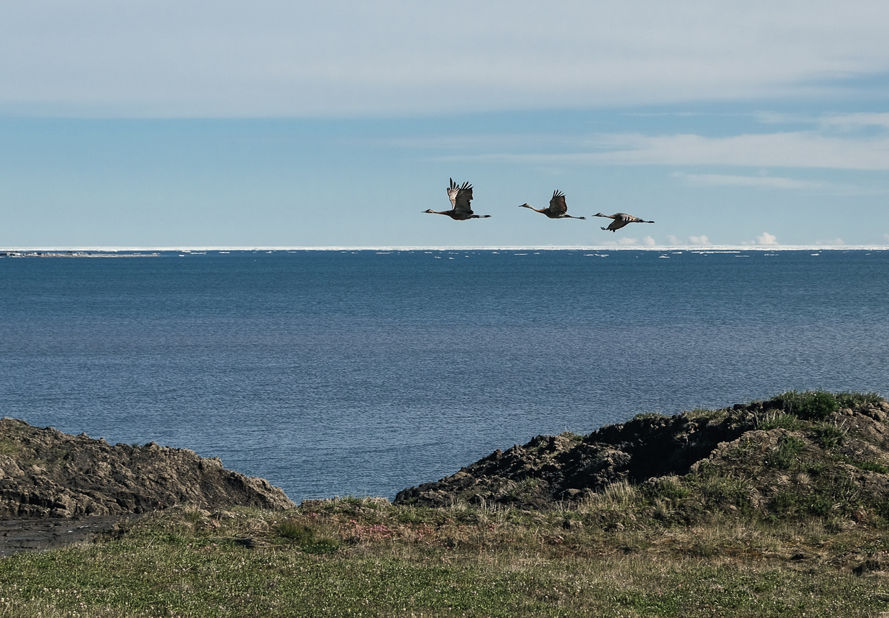 Flight over the slump
