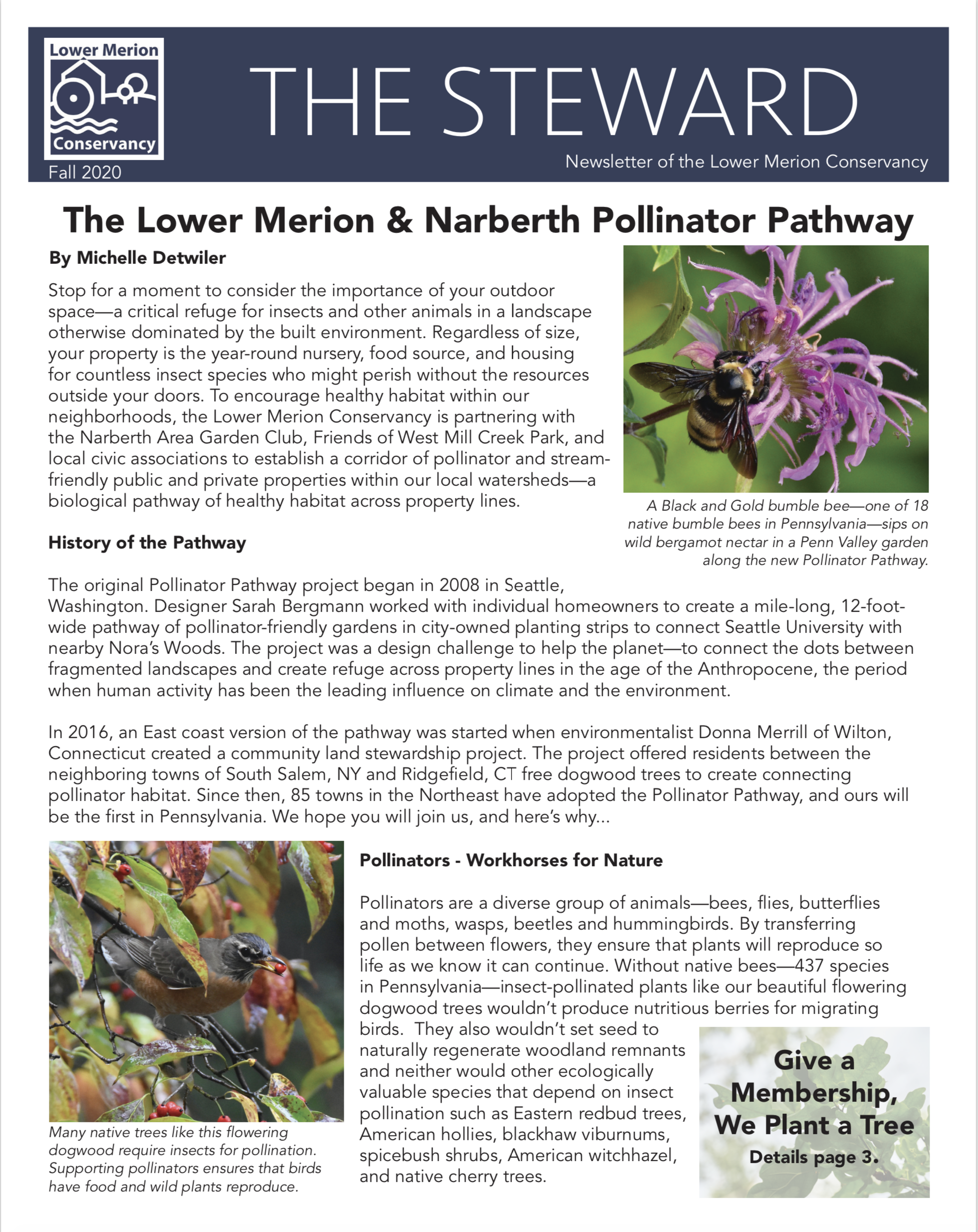 View my recent article about the Lower Merion and Narberth Pollinator Pathway here (Fall 2020).   Scroll through pages 1-6.