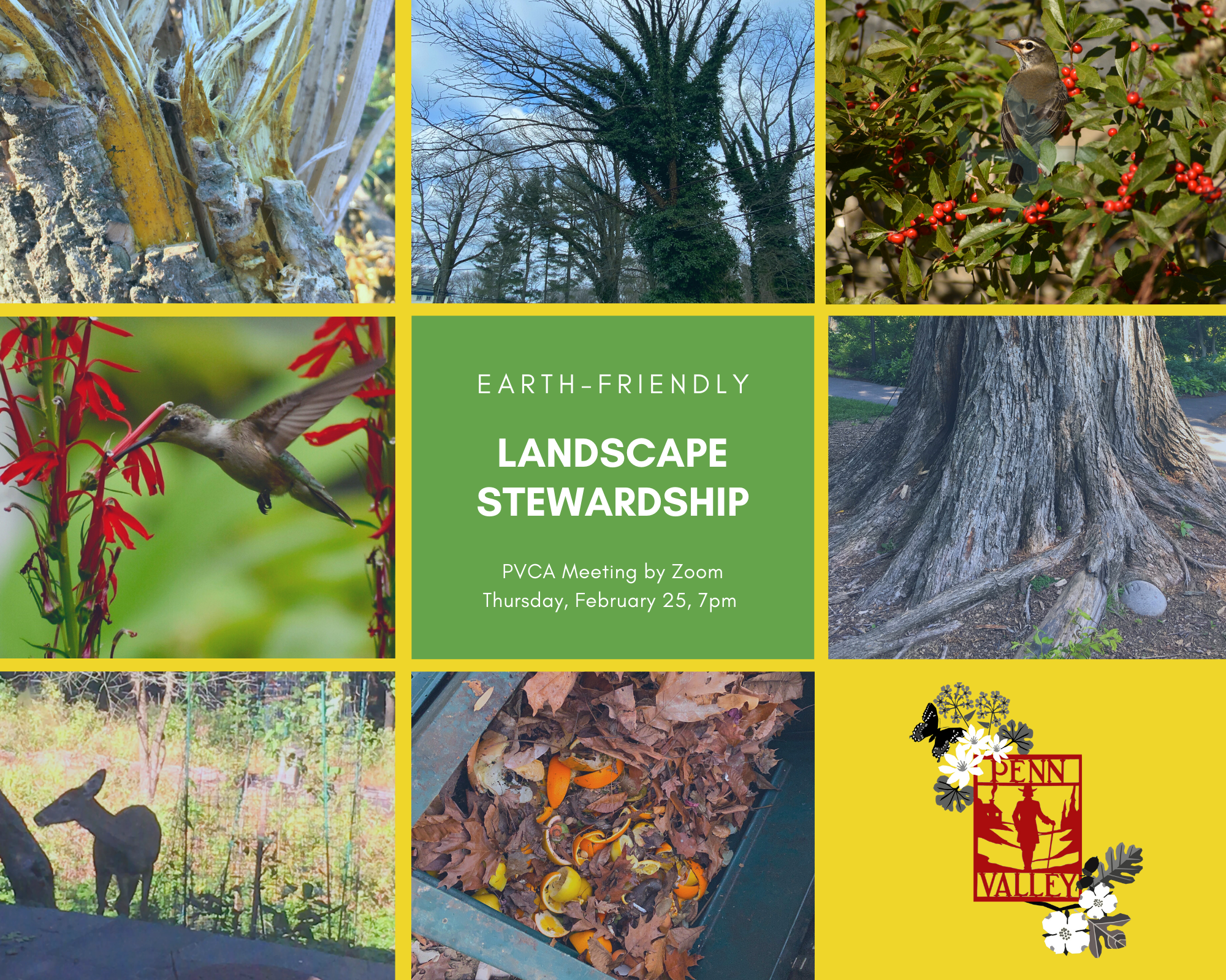  Hear practical sustainable landscape tips for your space… 