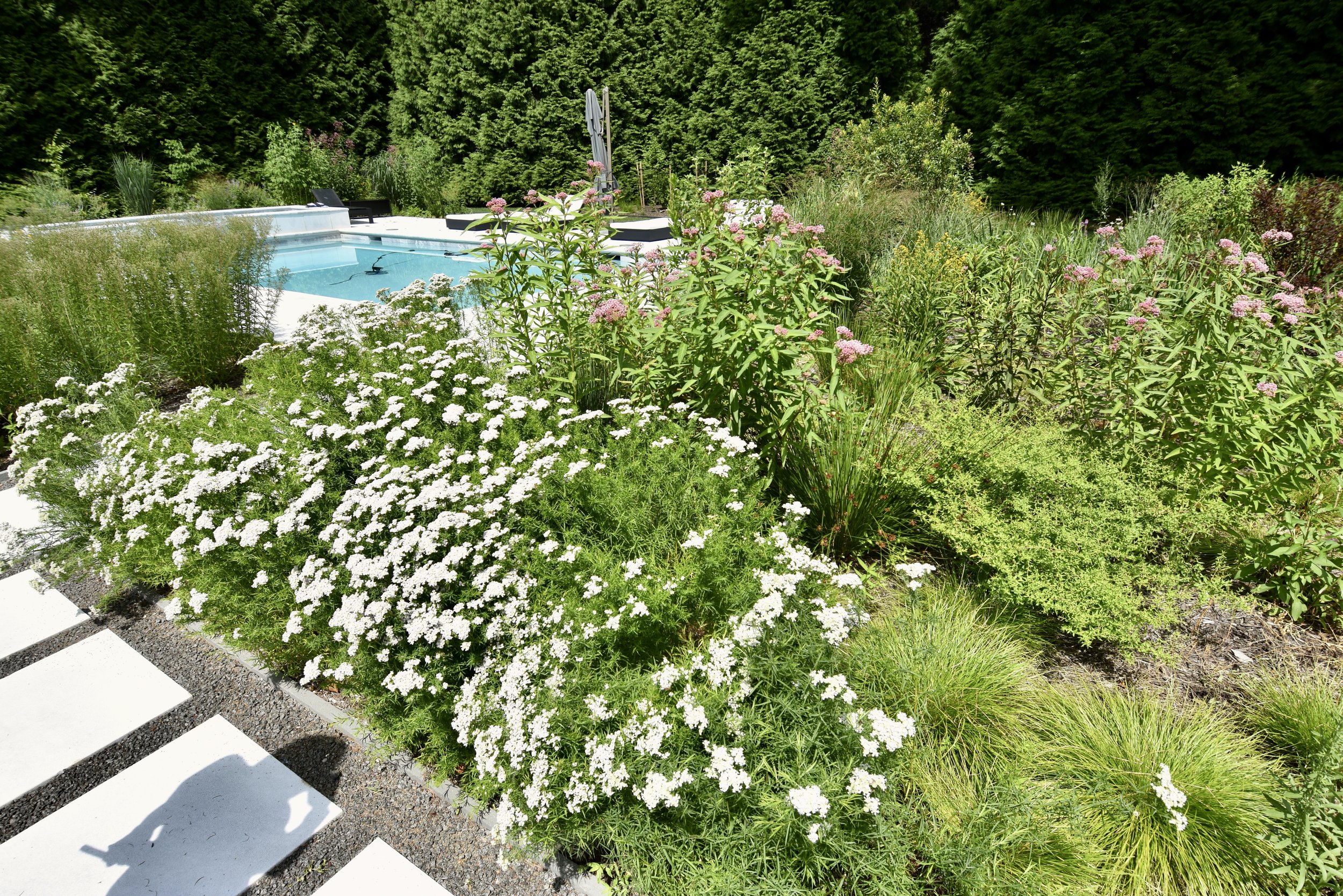 LUSH POOL-SIDE RETREAT