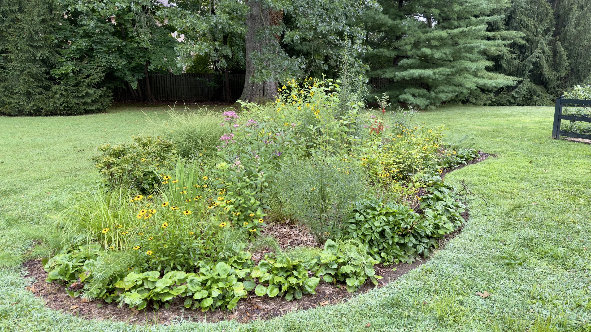 Cherry Lane Vignette