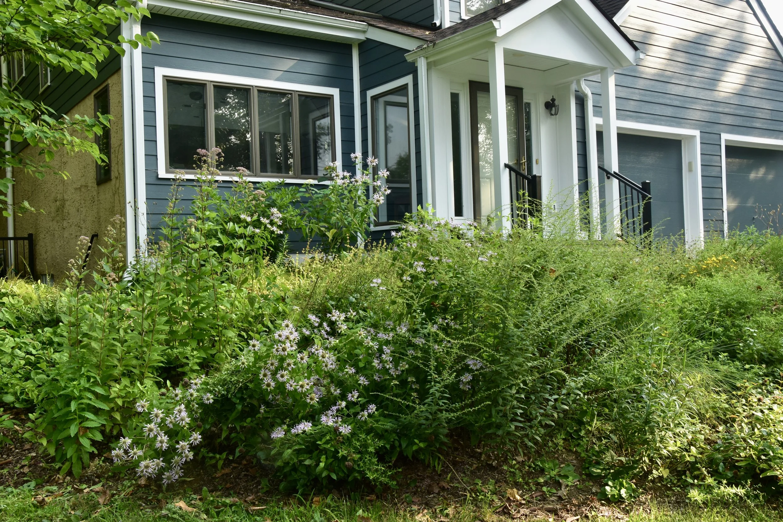 Penn Valley Paradise